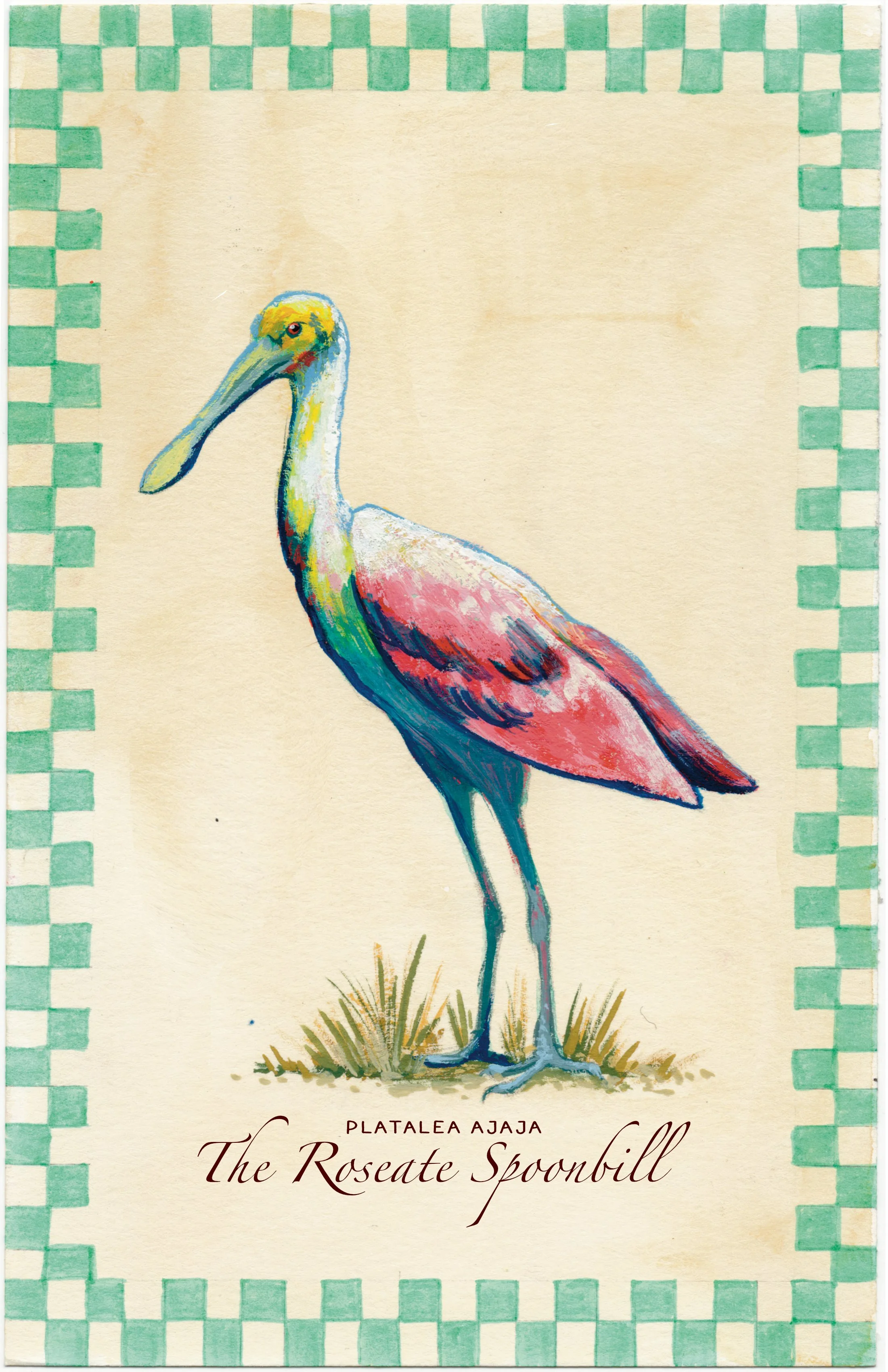 Roseate Spoonbill Gouache Painting