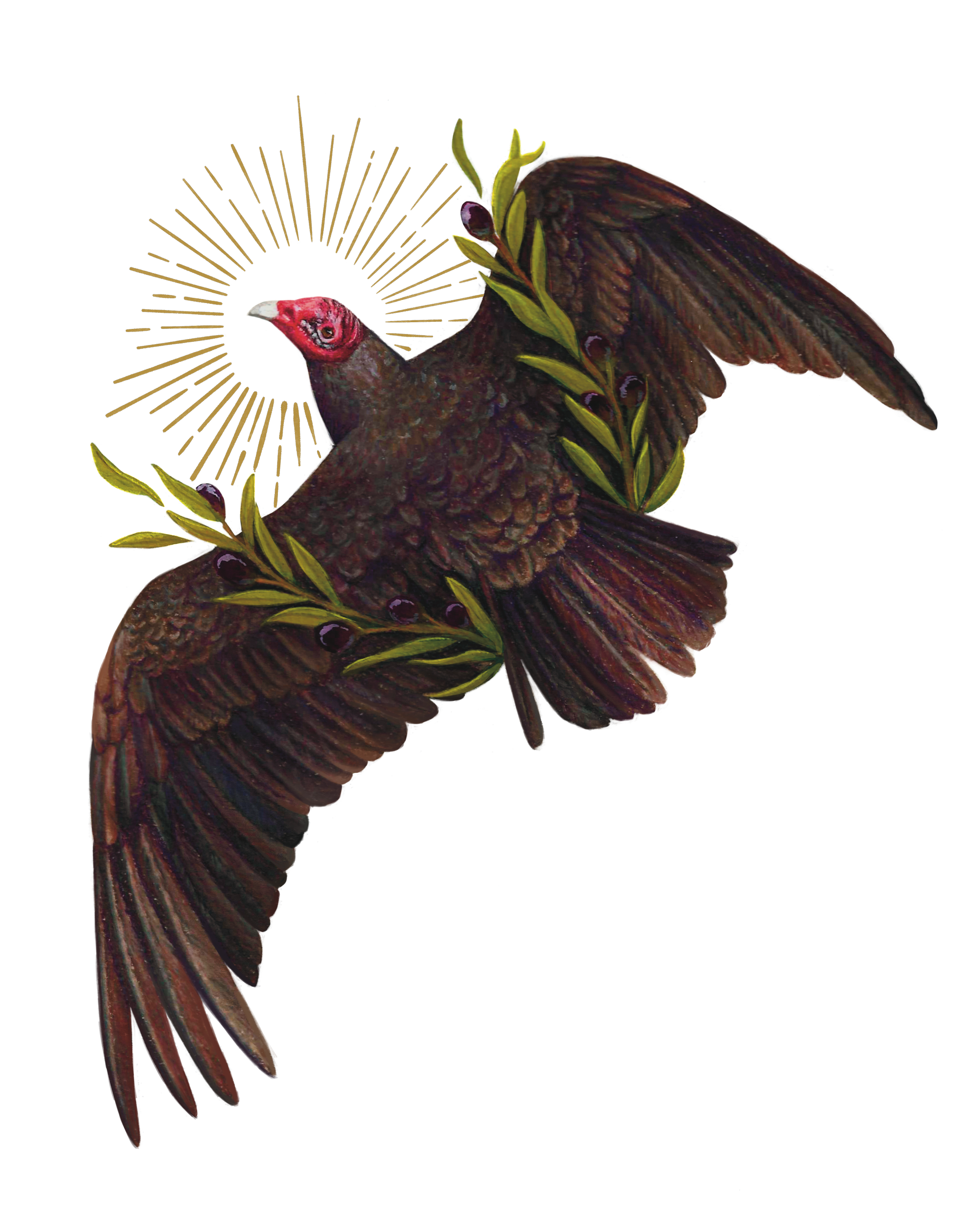 Turkey Vulture Watercolor Mixed Media