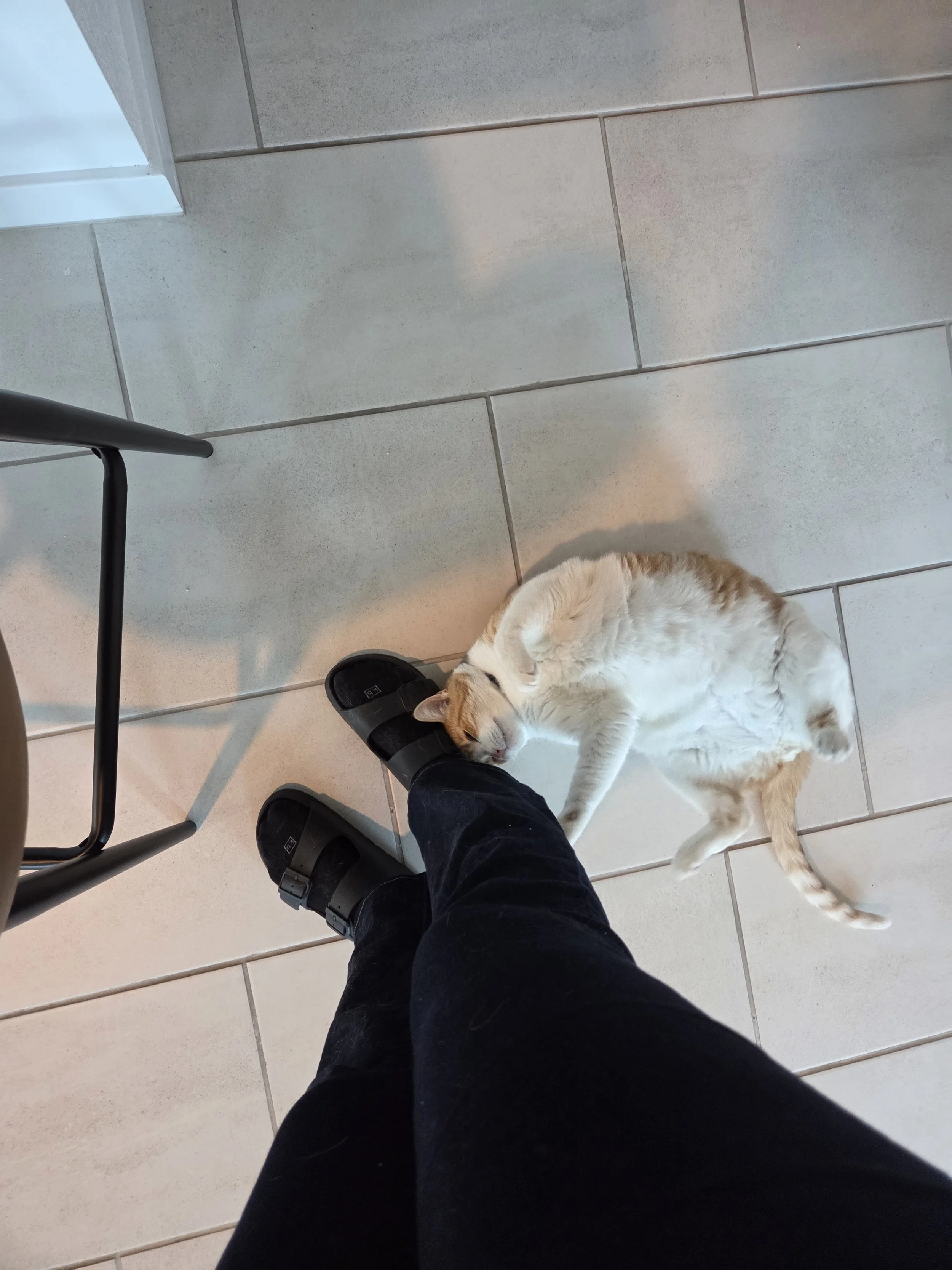 Person wearing black pants and slippers share a gentle moment with a cream and orange tabby cat lying on a tiled floor, with the cat resting its head on the person's foot. Kate's Cozy Cat Co.