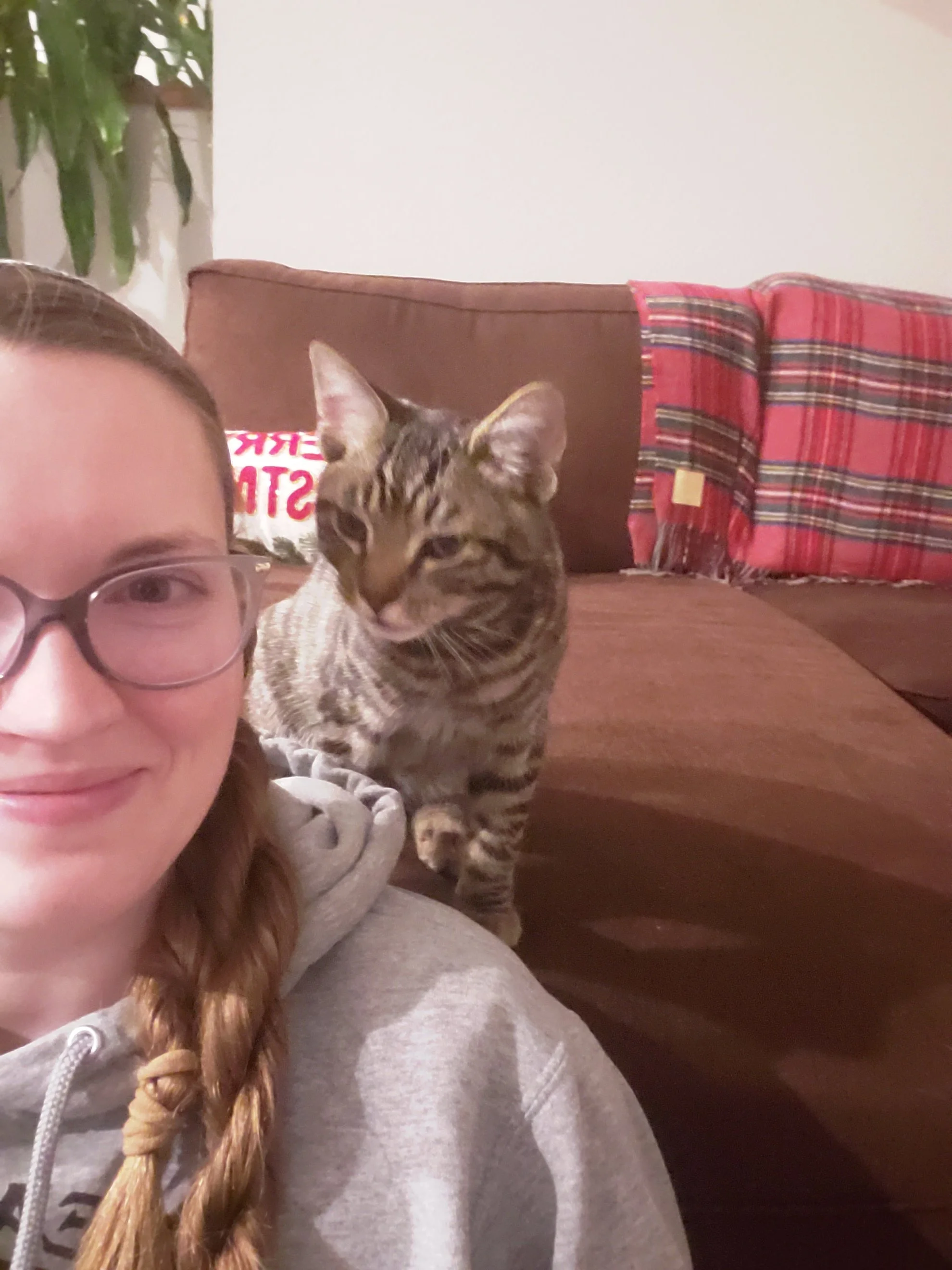 A woman with glasses and a braided hair taking a selfie with a tabby cat sitting on a brown couch. The couch has a red plaid blanket and a holiday pillow in the background. Kate's Cozy Cat Co.