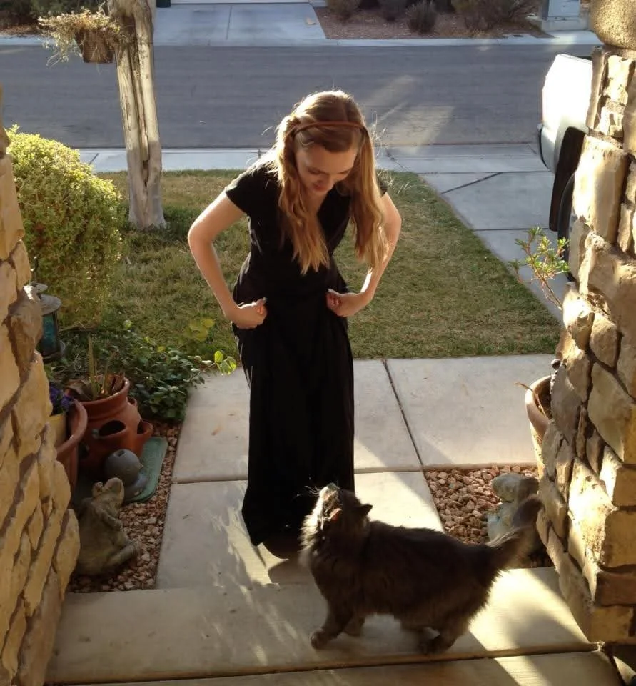 A girl in a black dress is standing outside on a porch, looking down at a fluffy gray cat on the ground. The scene is lit by sunlight, and there are plants and decorative items nearby, with a street and sidewalk in the background. Kate's Cozy Cat Co.