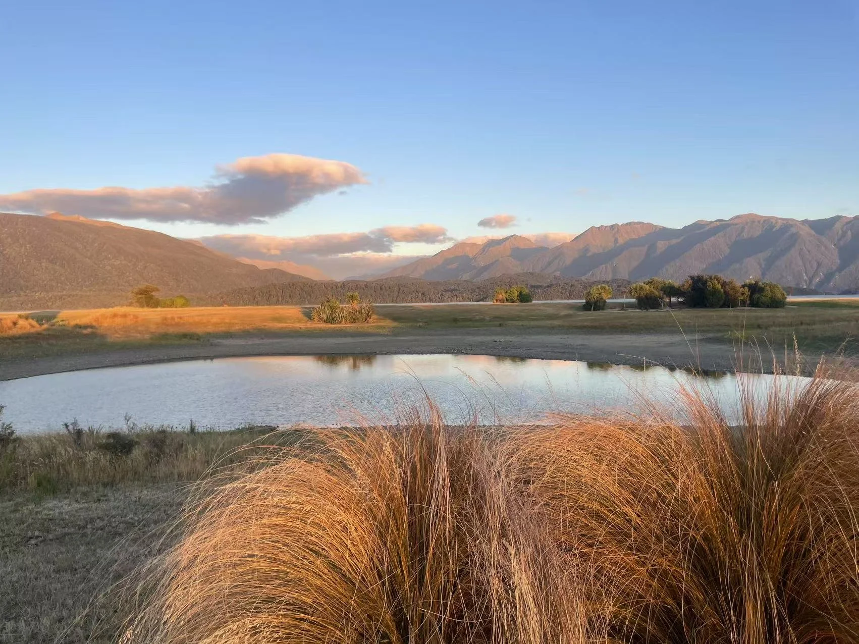 Scenic landscape with mountains, a pond, grassy fields, and bushy plants in the foreground during sunset.
