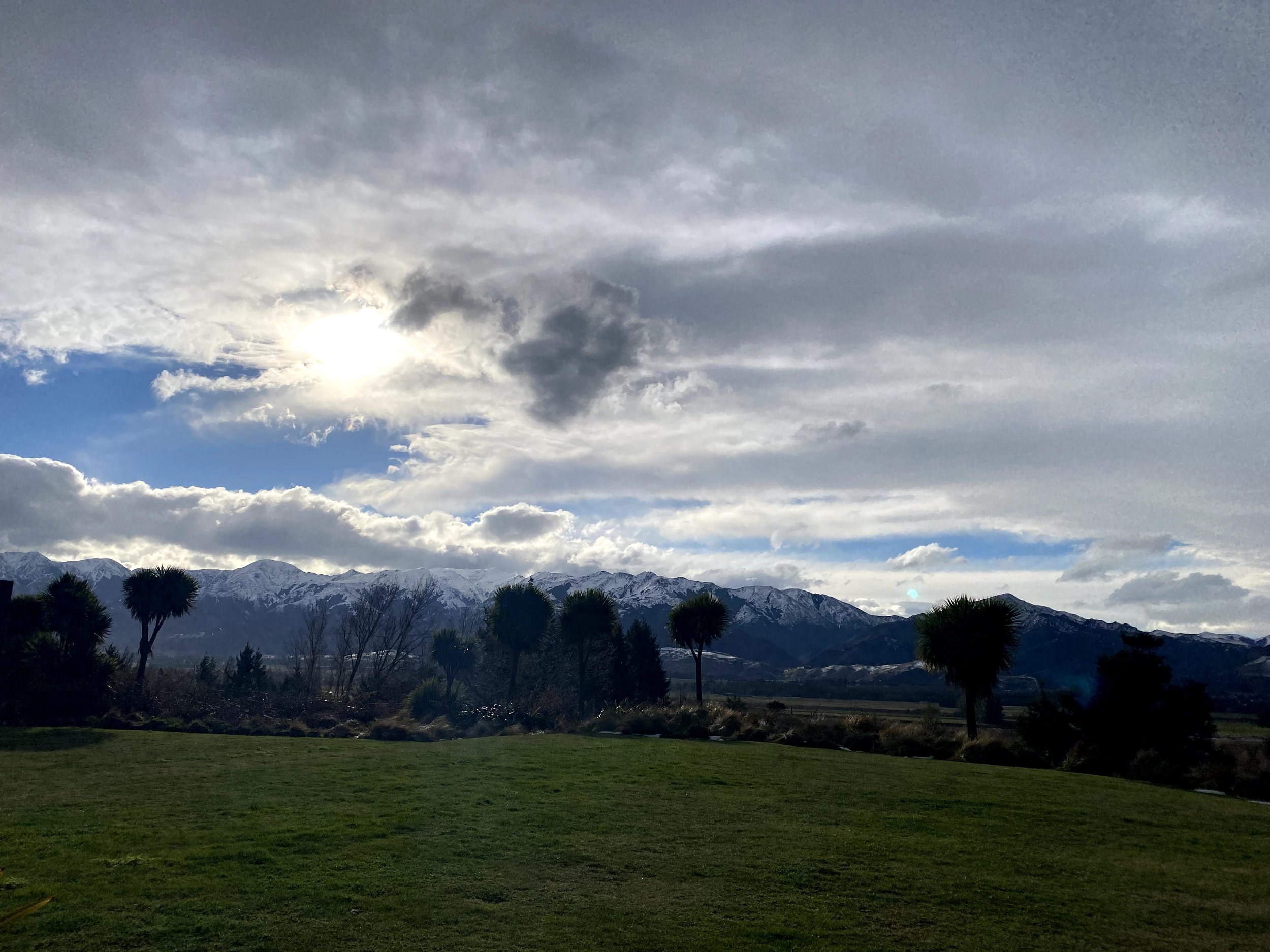 Mountain range with snow-capped peaks under a cloudy sky, with palm trees and green grassy field in the foreground.