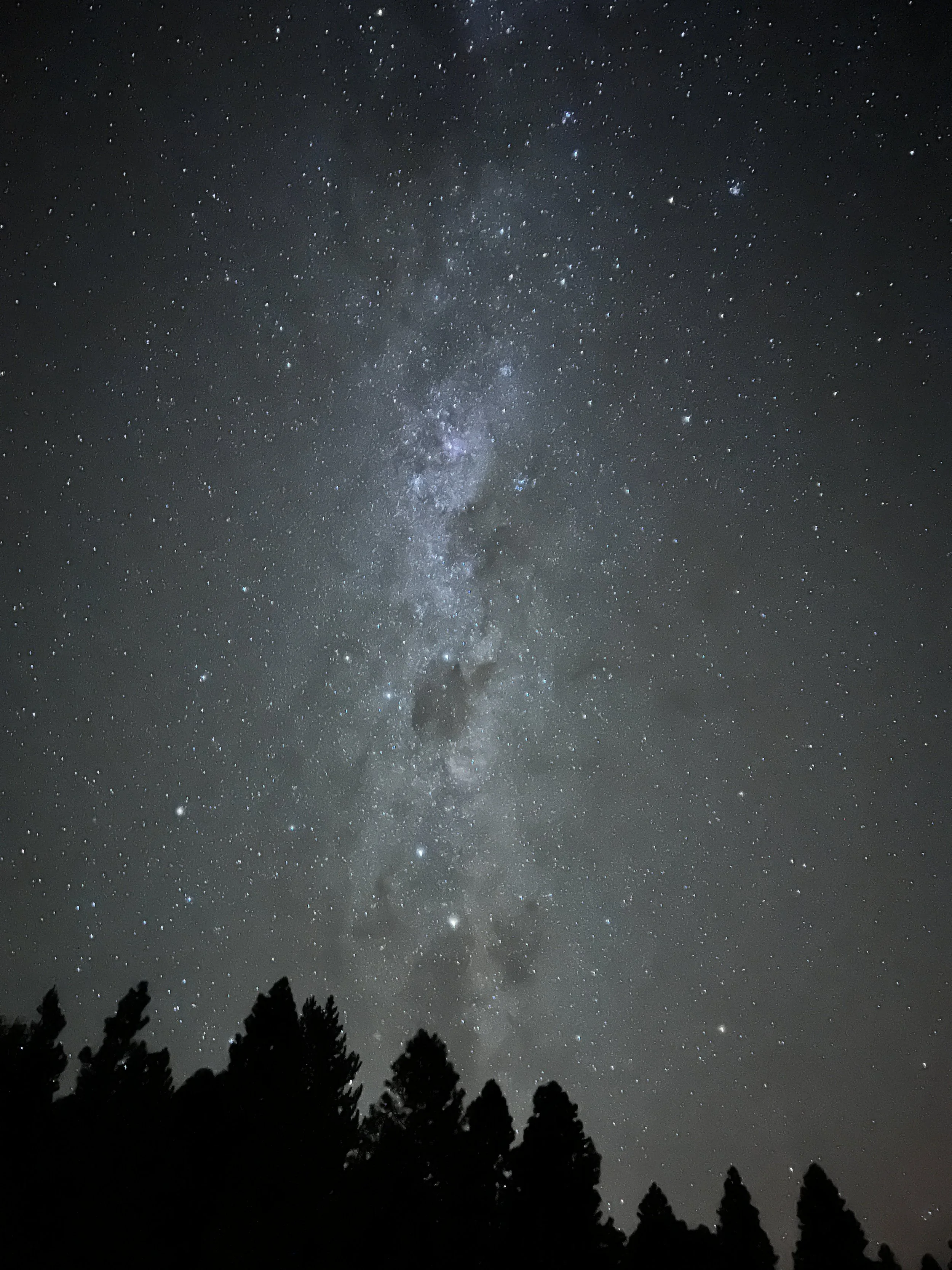 Night sky filled with stars and the Milky Way galaxy, with silhouettes of trees at the bottom.
