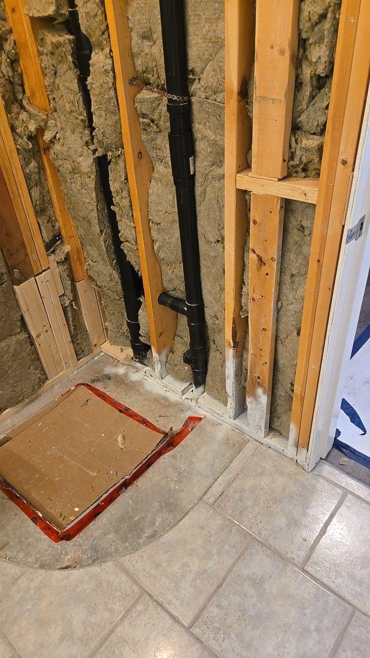 picture-after clean up.jpg