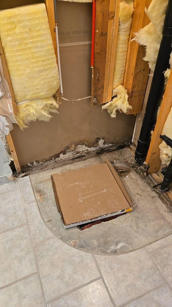 picture-Mould source.jpg