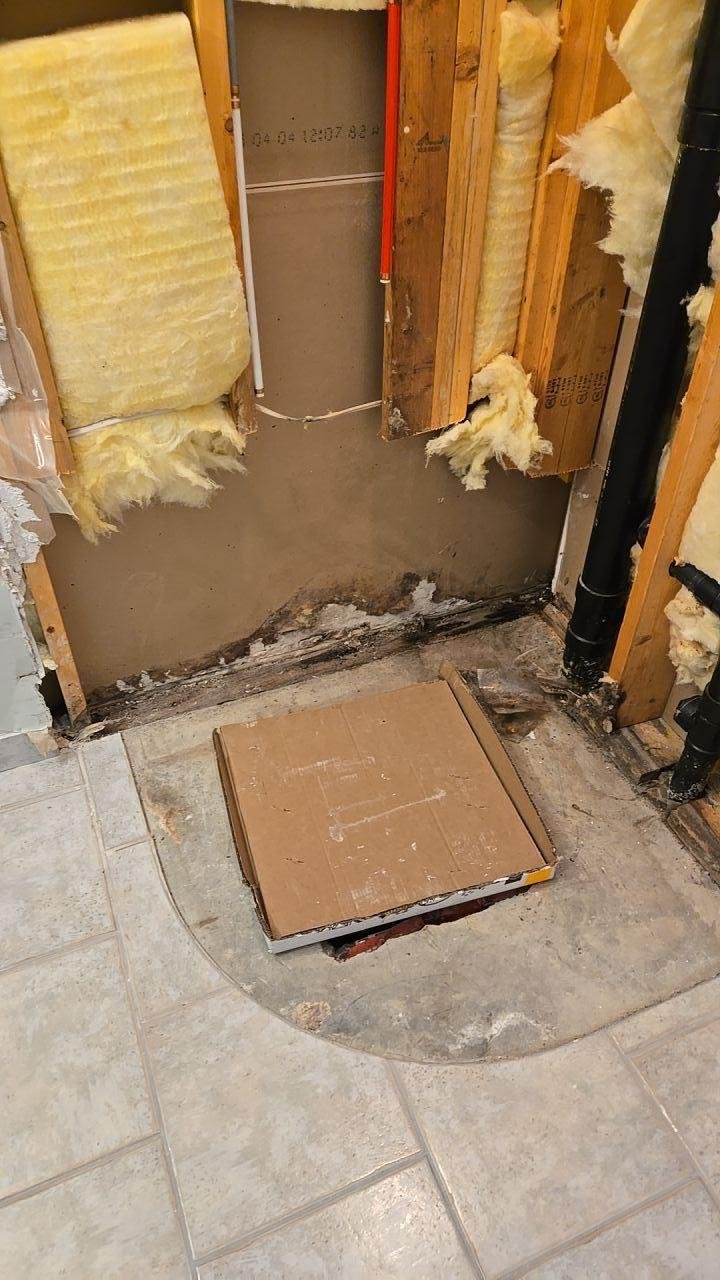 picture-Mould source.jpg
