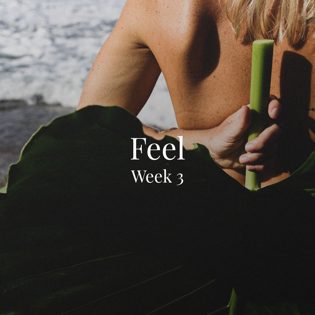 A person with tanned skin holding a green stalk of bamboo or plant in front of their chest near the beach, accompanied by large green leaves, with ocean waves in the background, and text overlay reading "Feel Week 3".