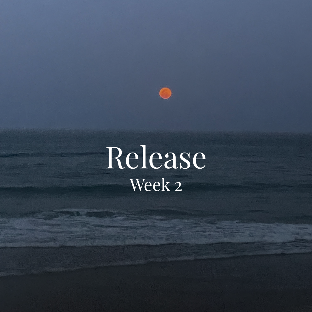 A photo of a moon rising over the ocean at dusk with a dark sandy beach in the foreground. Text overlay reads 'Release Week 2'.