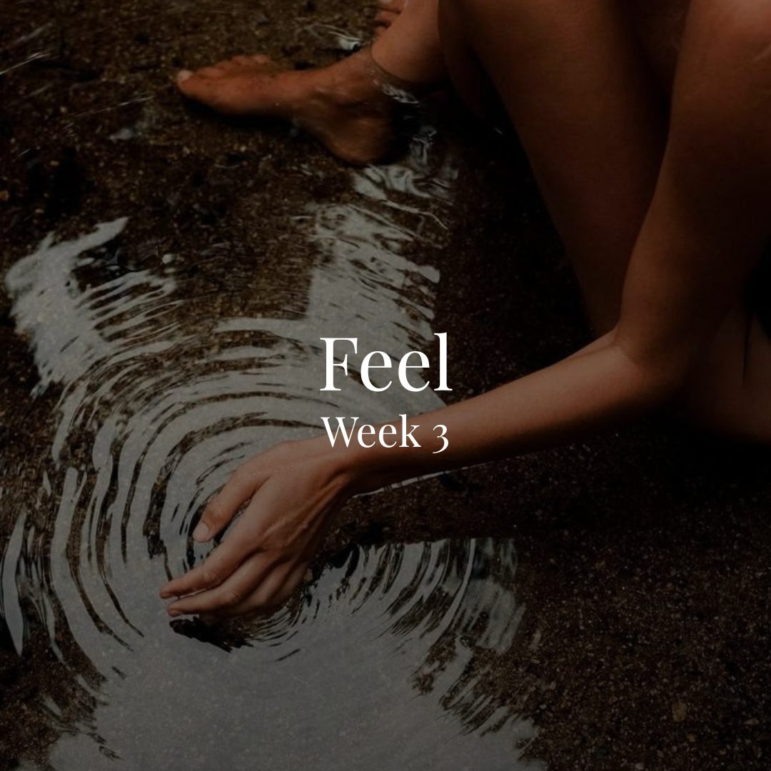 Person kneeling on the ground, touching water with finger, in a natural outdoor setting, with the words 'Feel Week 3' overlaid.