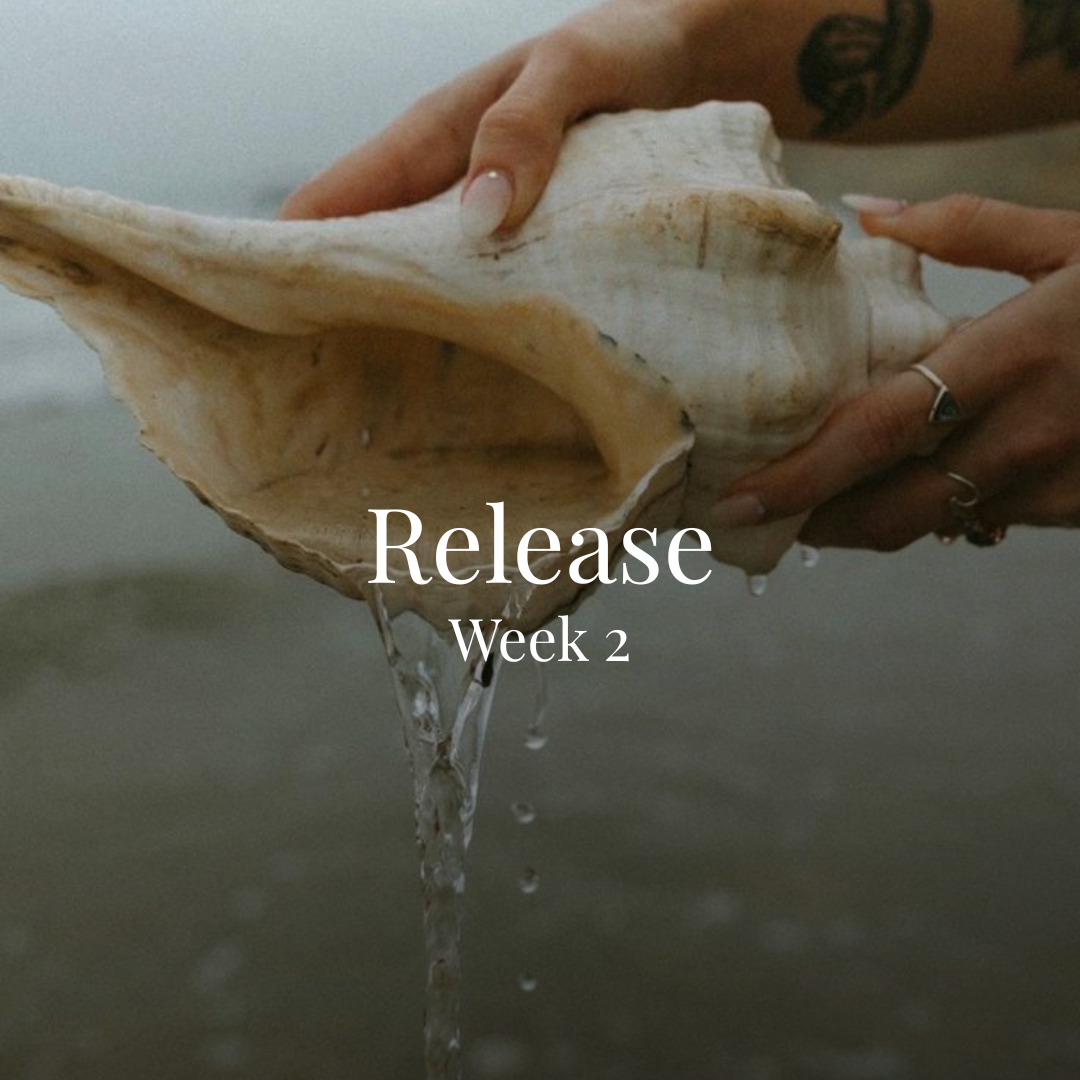 Hands holding large seashell over water with waves in the background, water dripping from shell, and overlaid text 'Release Week 2'.