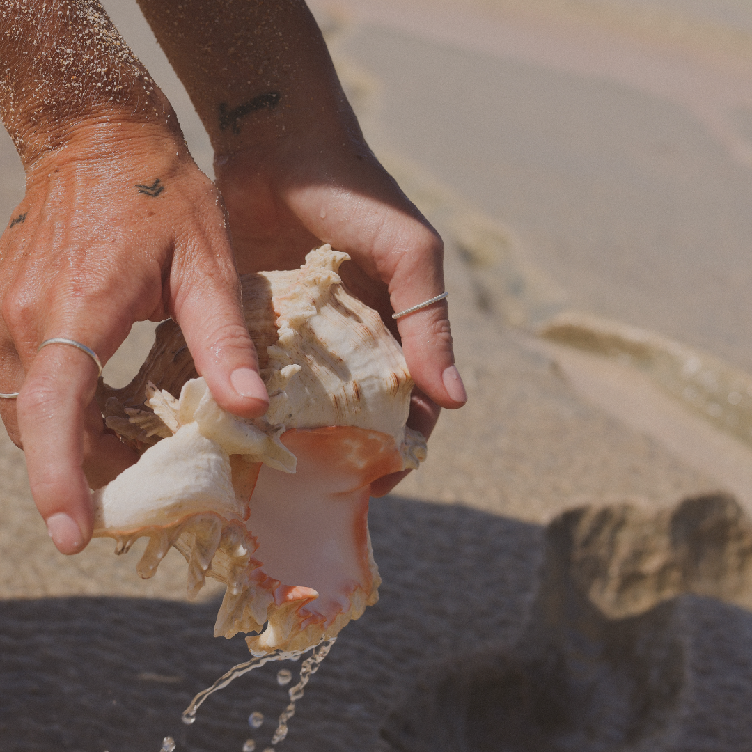 Person holding a large seashell over water on a beach, with water dripping from the shell.