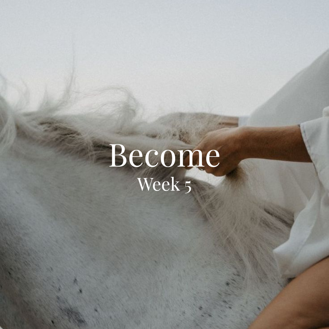A person in a white shirt tending to a large white horse, with a white wall background. The text overlay says 'Become Week 5'.