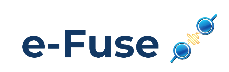 e-fuse