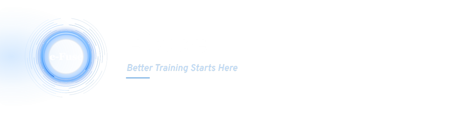 e-fuse