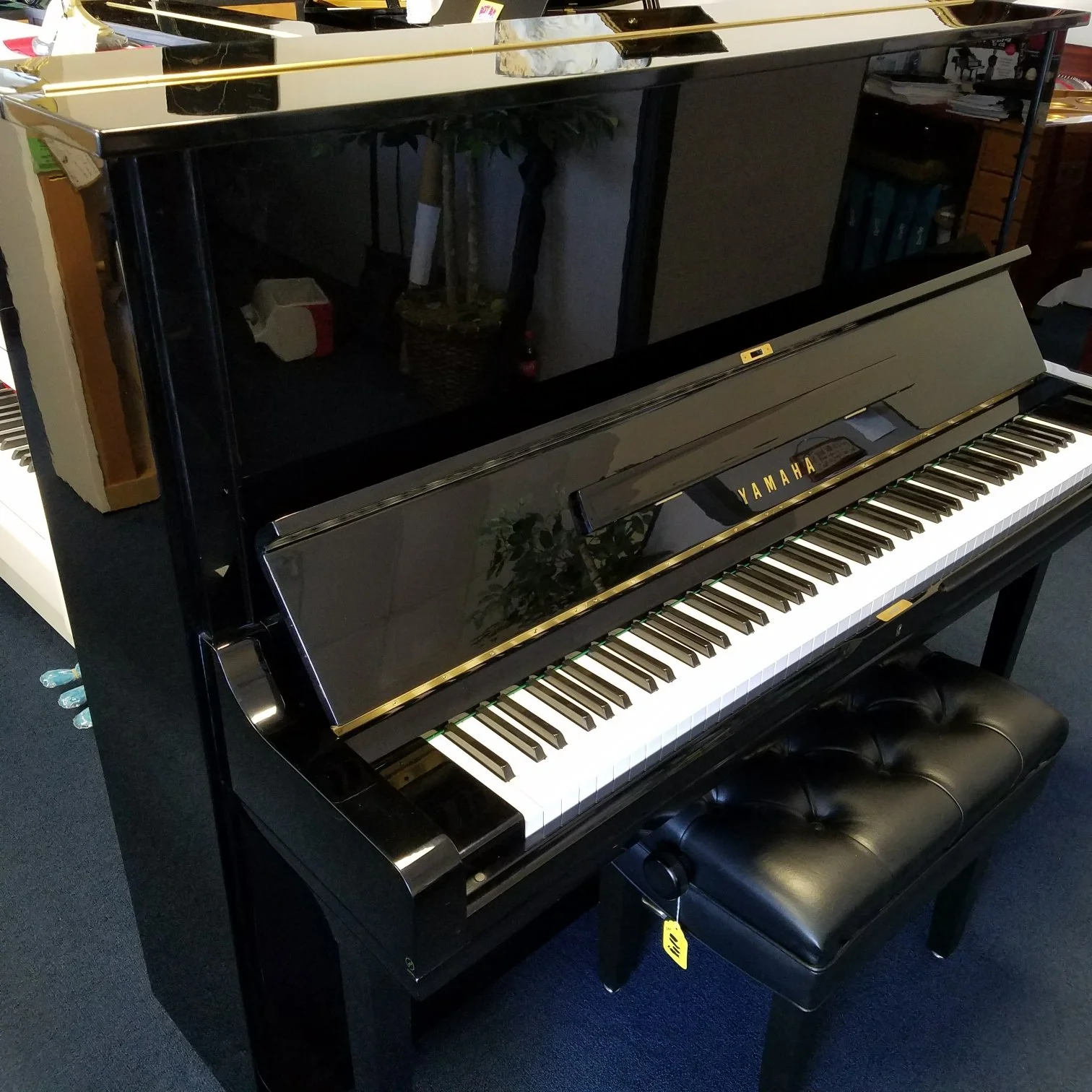 Piano Pre-Purchase Inspection