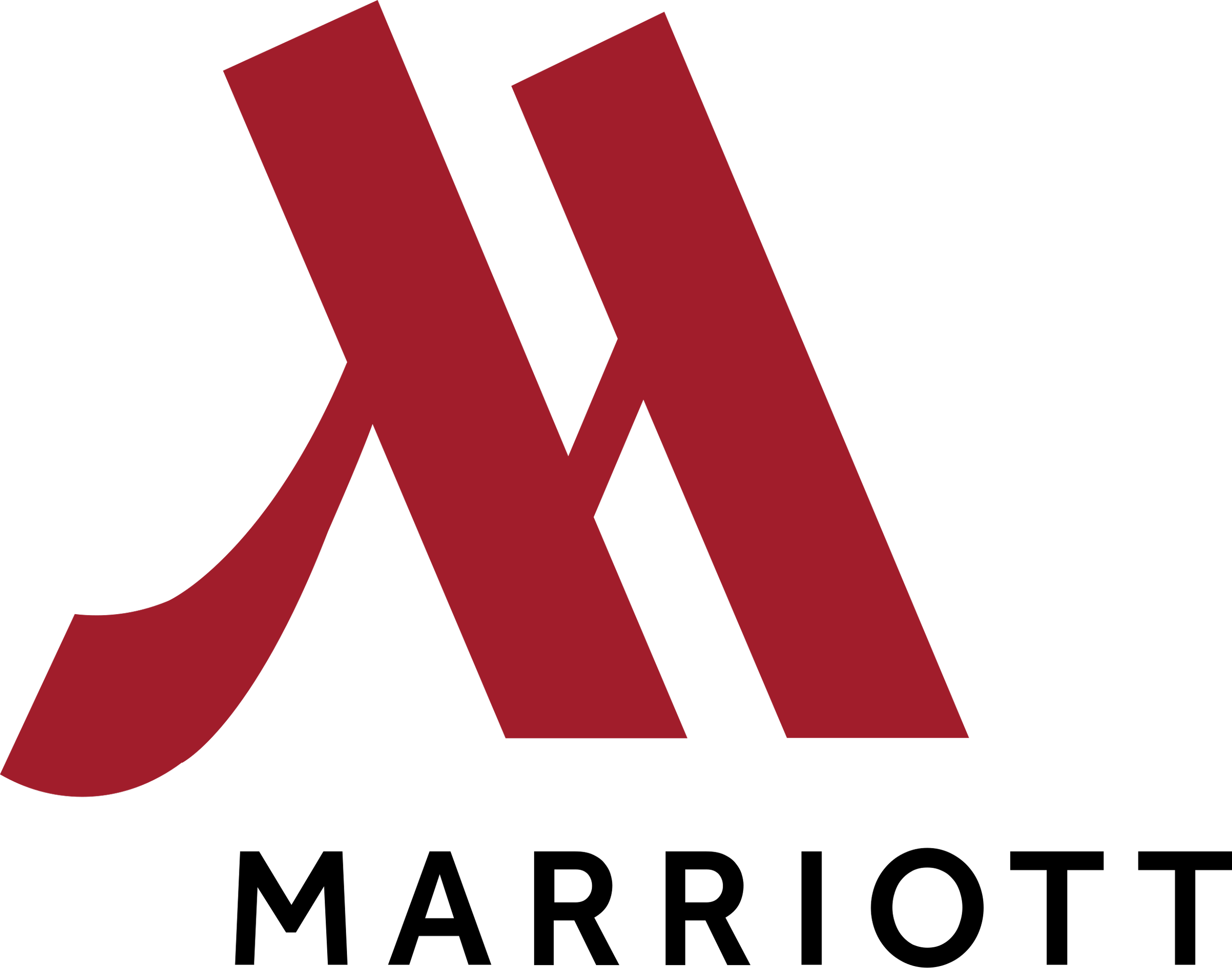 Netflix logo with a stylized red 'N' on a black background