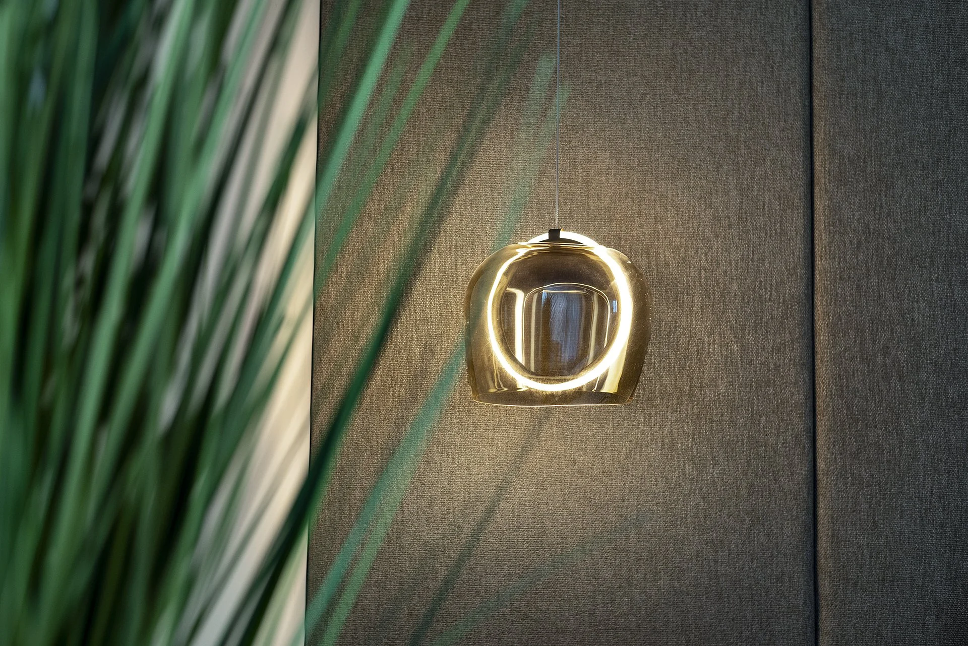 Modern pendant light with a circular design hangs on a textured dark wall, partially obscured by green decorative elements in the foreground.