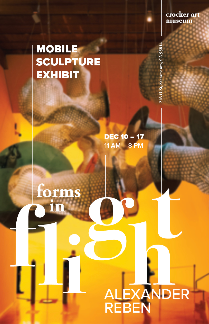 Forms in Flight4.png