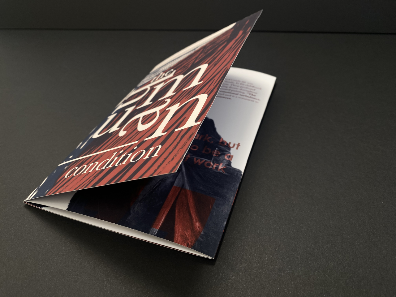 IMG_3653 copy Large.png