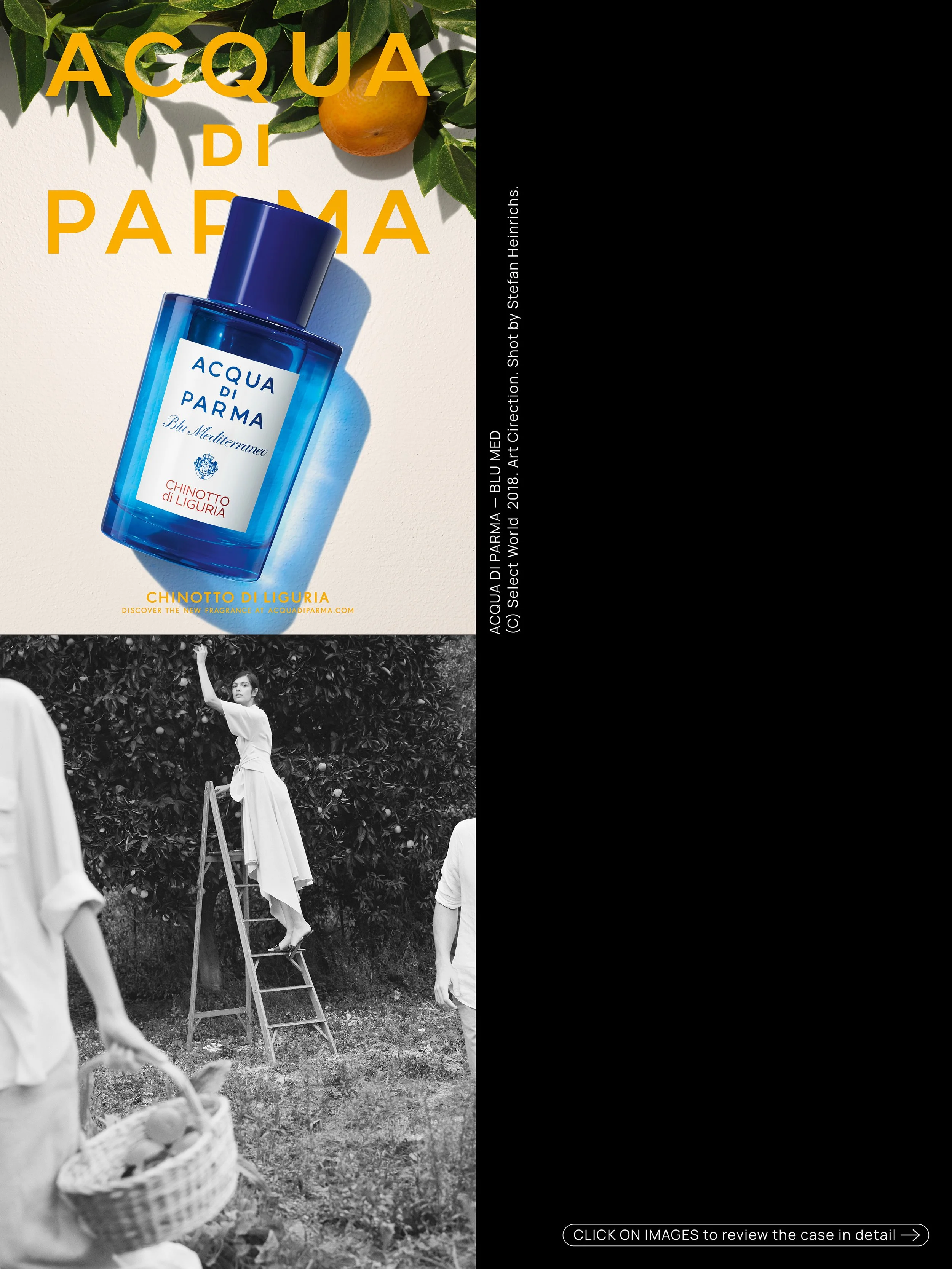 _Thumbnail_Layout_Squarespace_Head_Images_202611.jpg