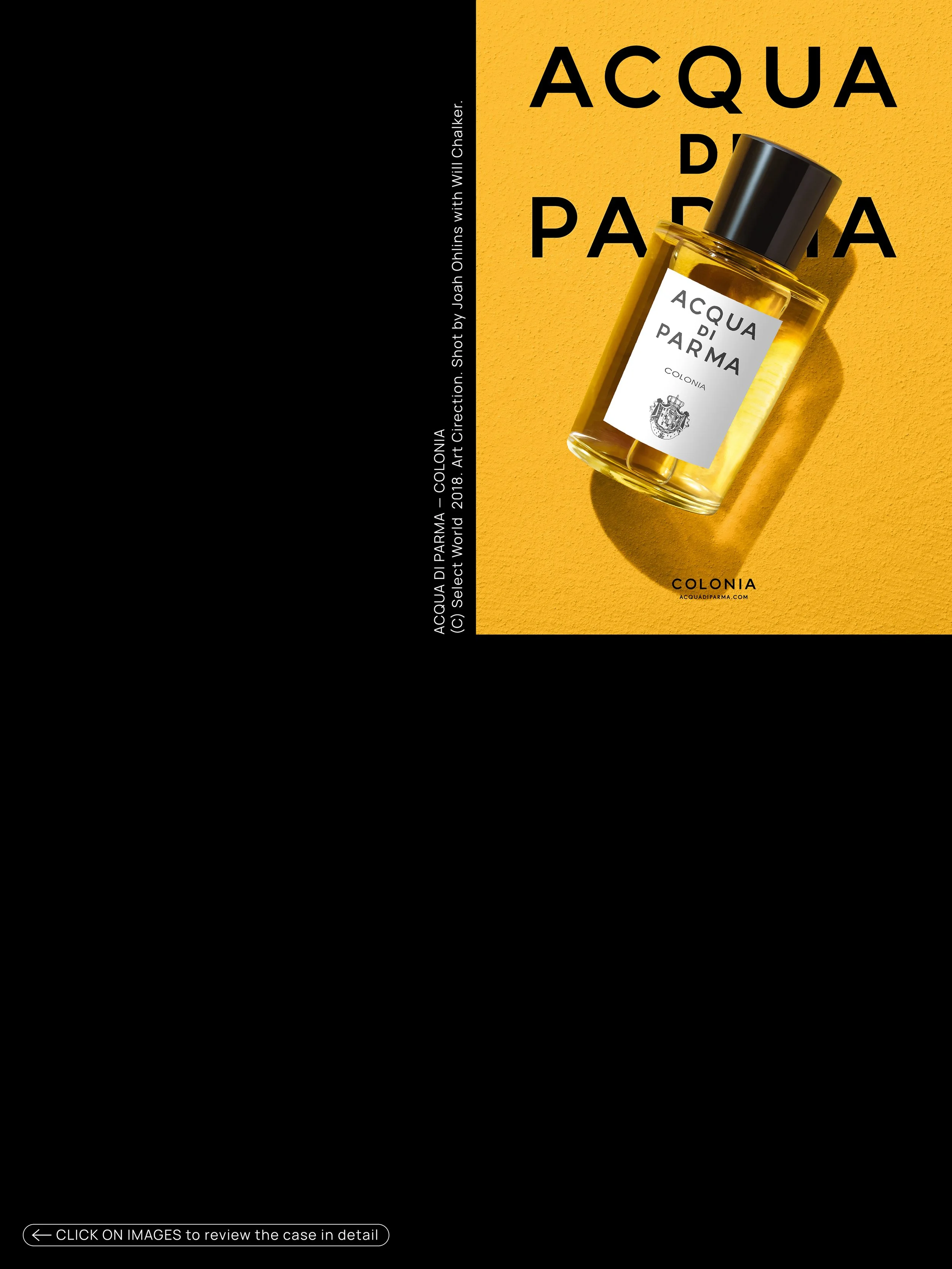 _Thumbnail_Layout_Squarespace_Head_Images_202610.jpg