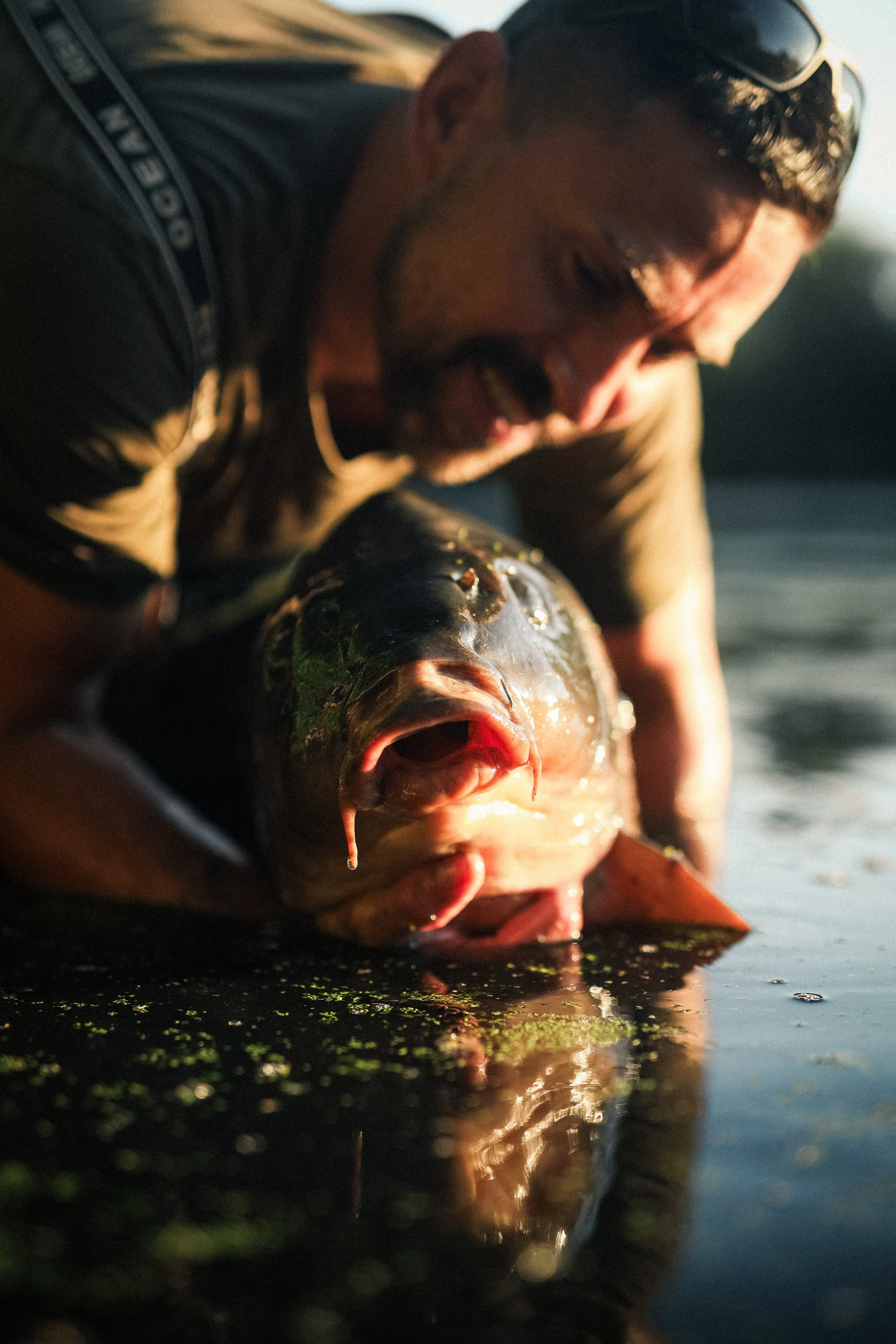 Tom Loraine Big Common Carp Fishing