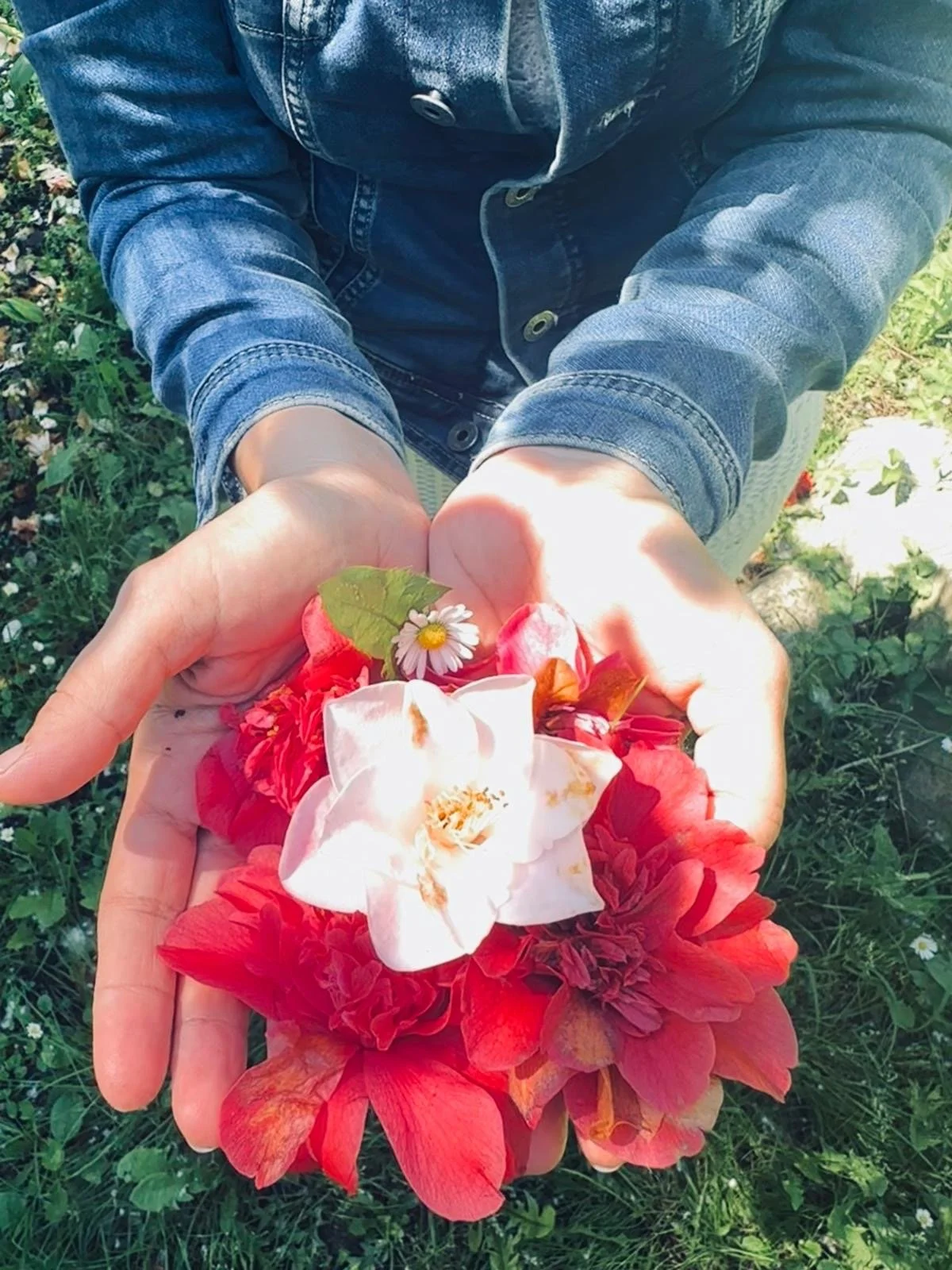 Due mani che tengono un bouquet di fiori colorati, tra cui una rosa bianca, peonie rosse e una margherita. Sullo sfondo si vedono erba e piante.
