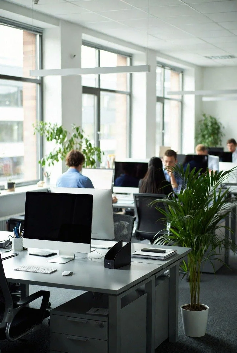 An open-concept office space with several employees working at desks with desktop computers, large windows letting in natural light, and lush green plants including one in a white pot.