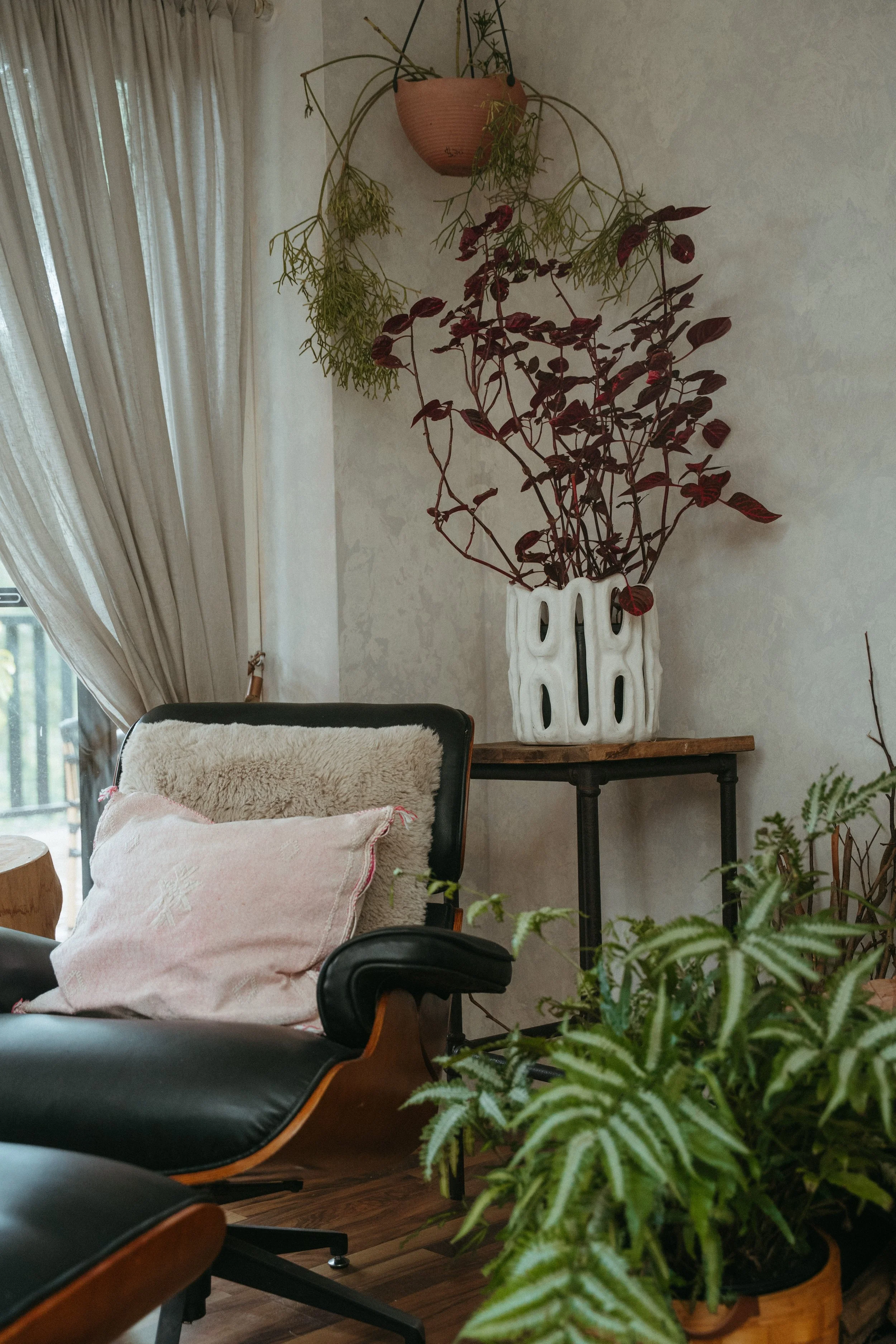 CantoWellness--8 (1).jpg