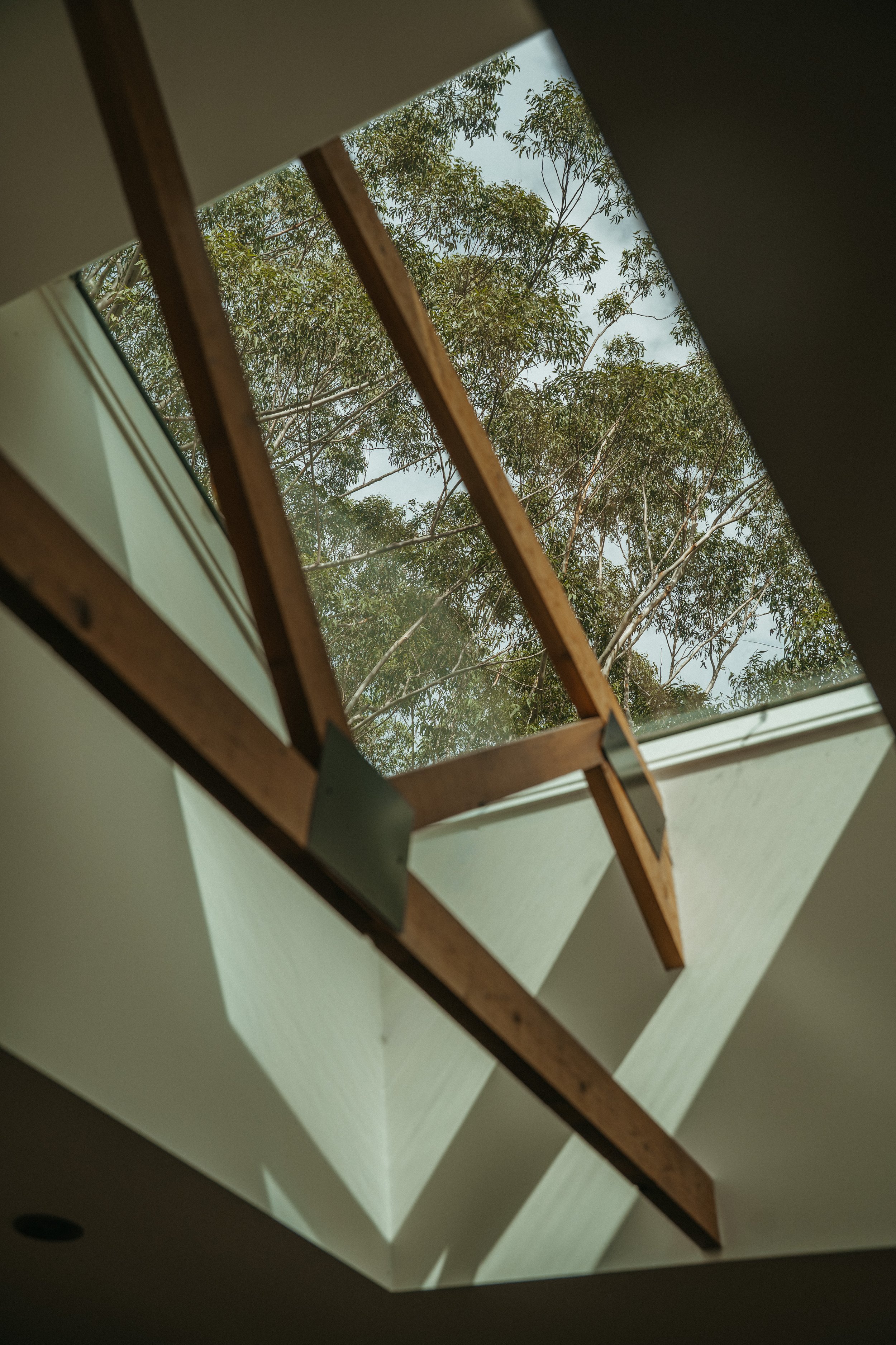 CantoWellness--91 (1).jpg