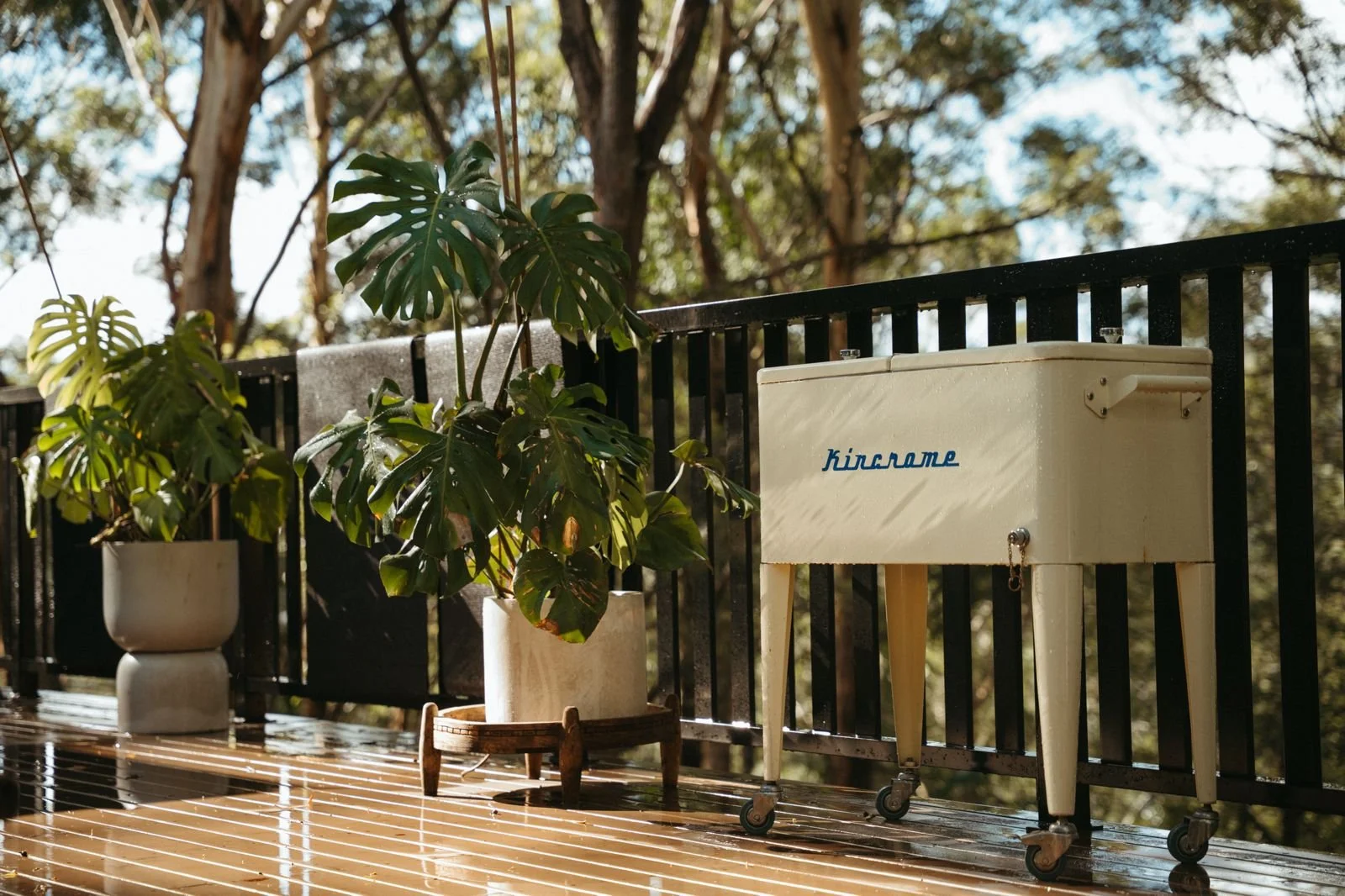 WhatsApp Image 2026-04-02 at 7.41.59 PM.jpeg