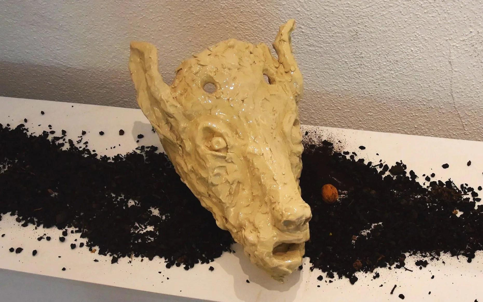 Tête de Cerfs