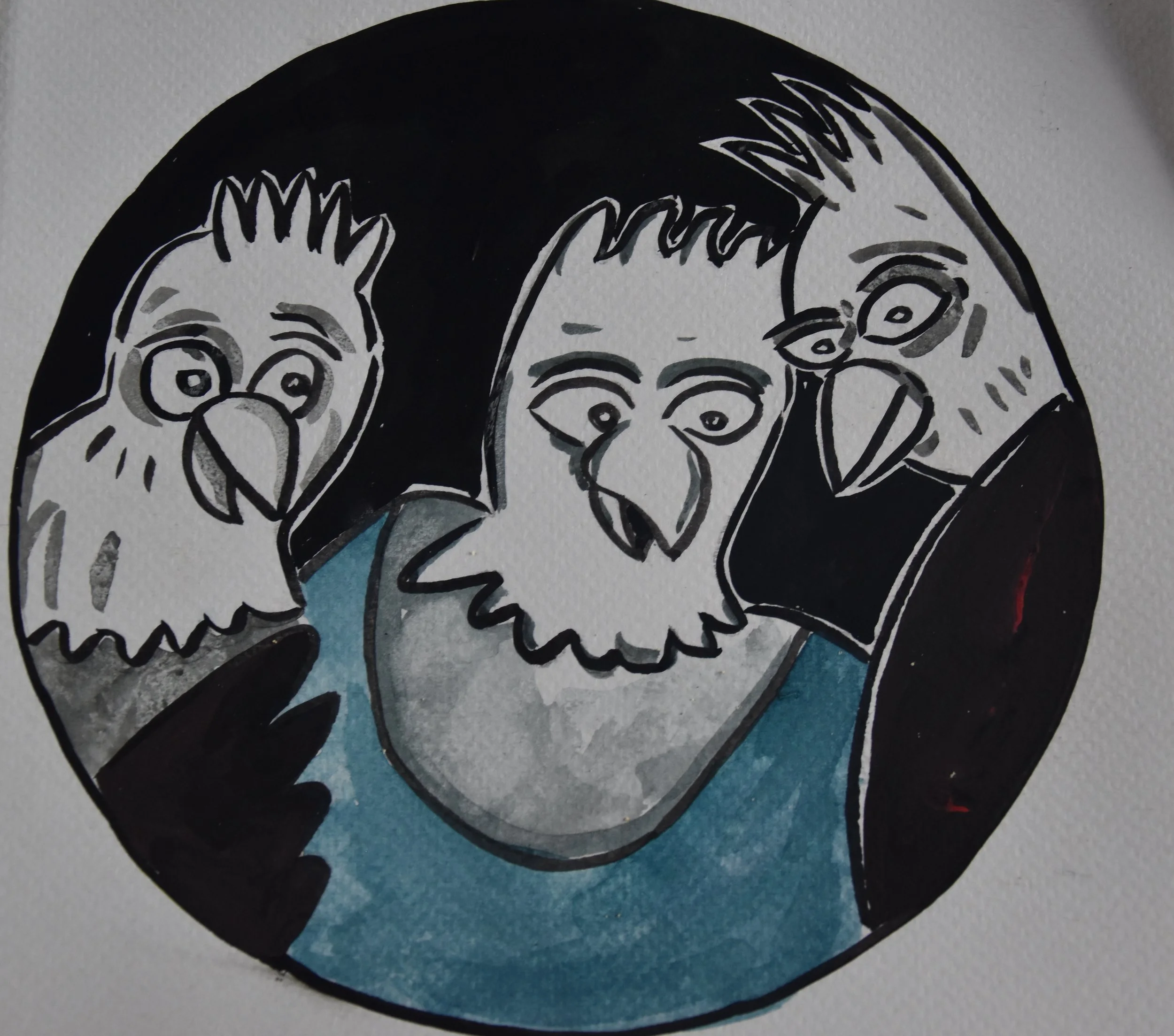 Poules 25 - 30 x 30 cm