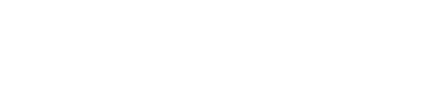 Flux Wildly - Live Action Painter