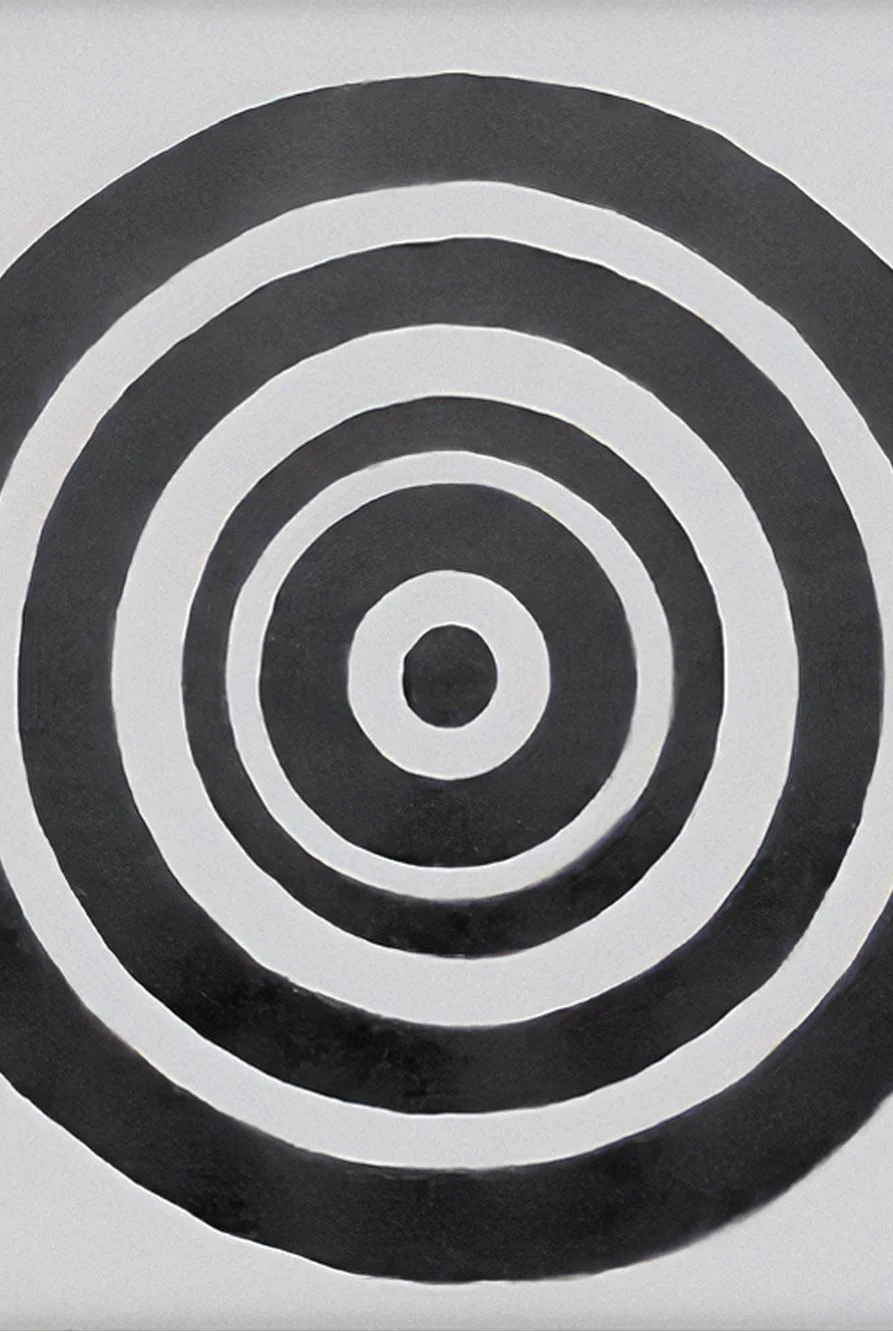 Black and white concentric circles pattern on a flat grey surface.