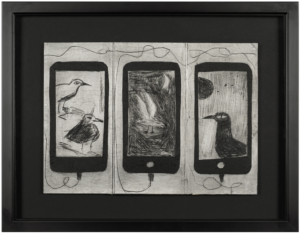 COMMON GULL 1ST WINTER.
Etching ink on Tetra Pak carton. 
37cm x 29cm Framed.  £400.00