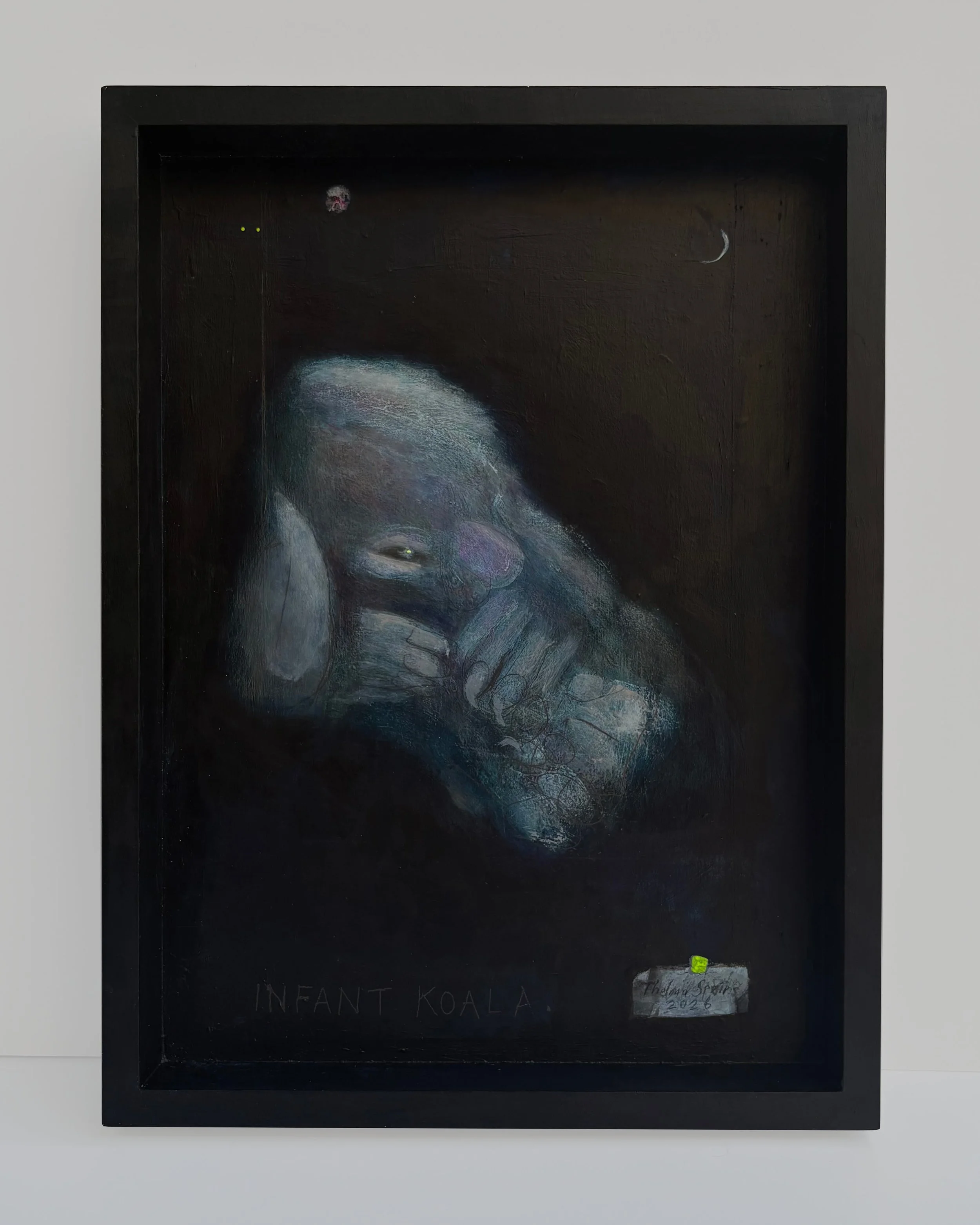 Infant Koala. 2026
Acrylic paint, pencil wooden tray.  
31.5cm x 41.5cm £550.00    