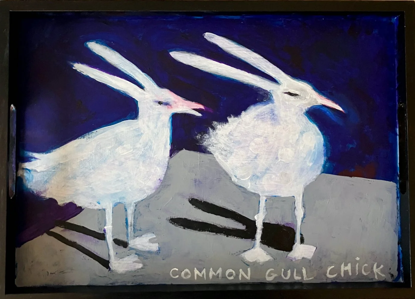 Painting of two white common gull chicks with black beaks and long legs against a dark blue background, with the caption "COMMON GULL CHICK" at the bottom.
