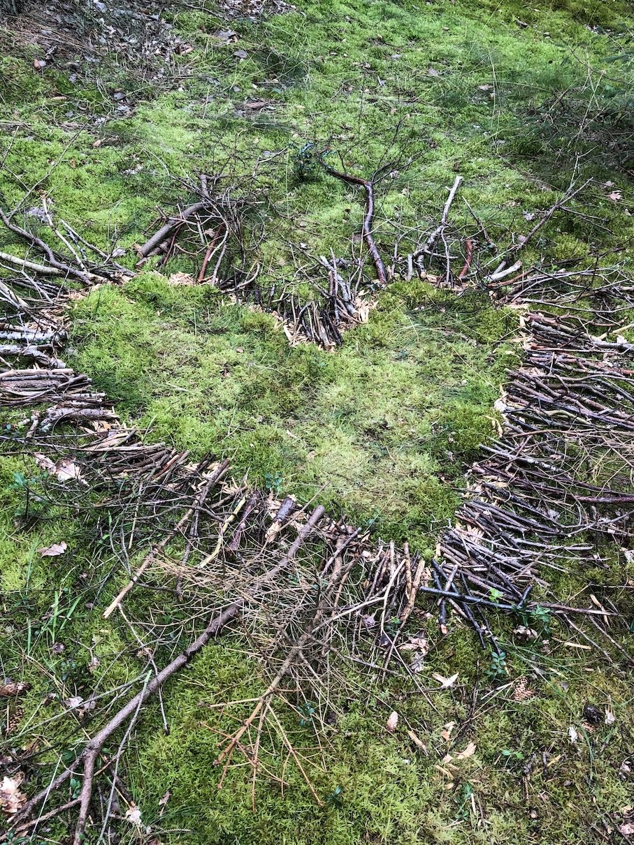 Et hjerte formet af grene og mos på skovbund.