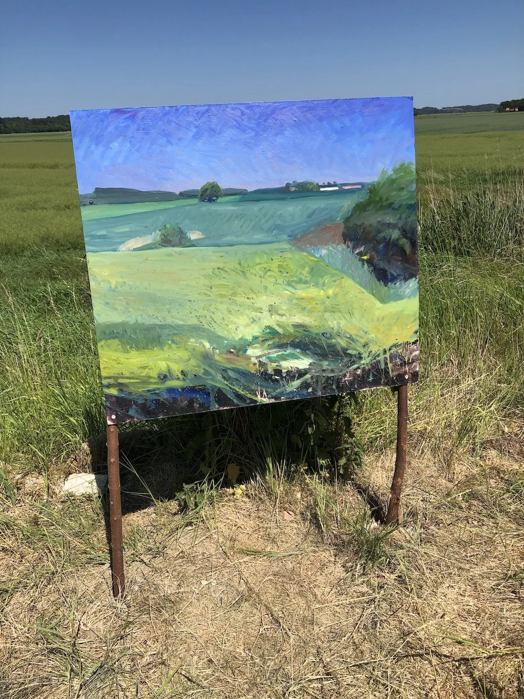 Et maleri af et åbent landskab med grønne marker og en blå himmel, sat op udendørs på en jordbund.