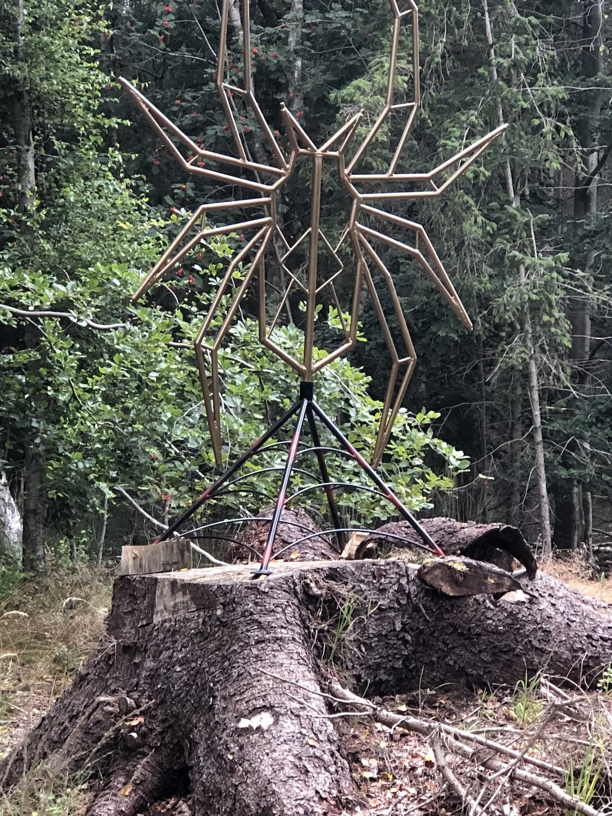 En stor træstamme med metal skulptur af et insekts krop, placeret i en skov.