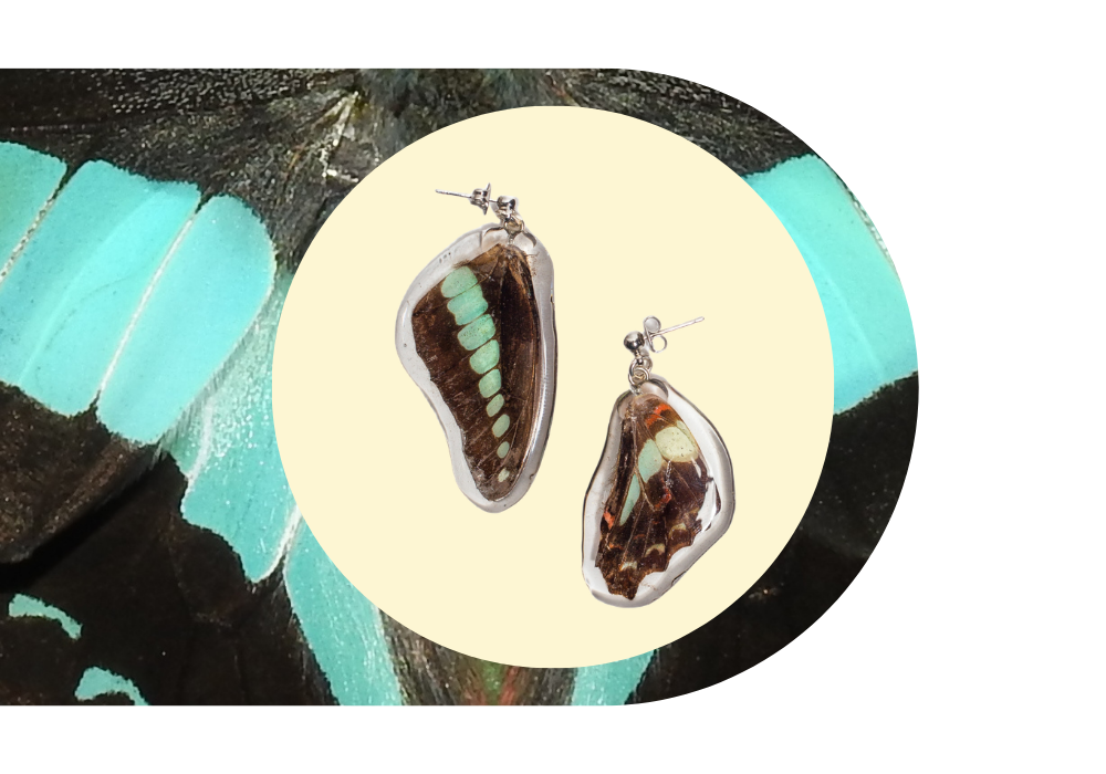 Earrings made from butterfly wings placed on a butterfly background.