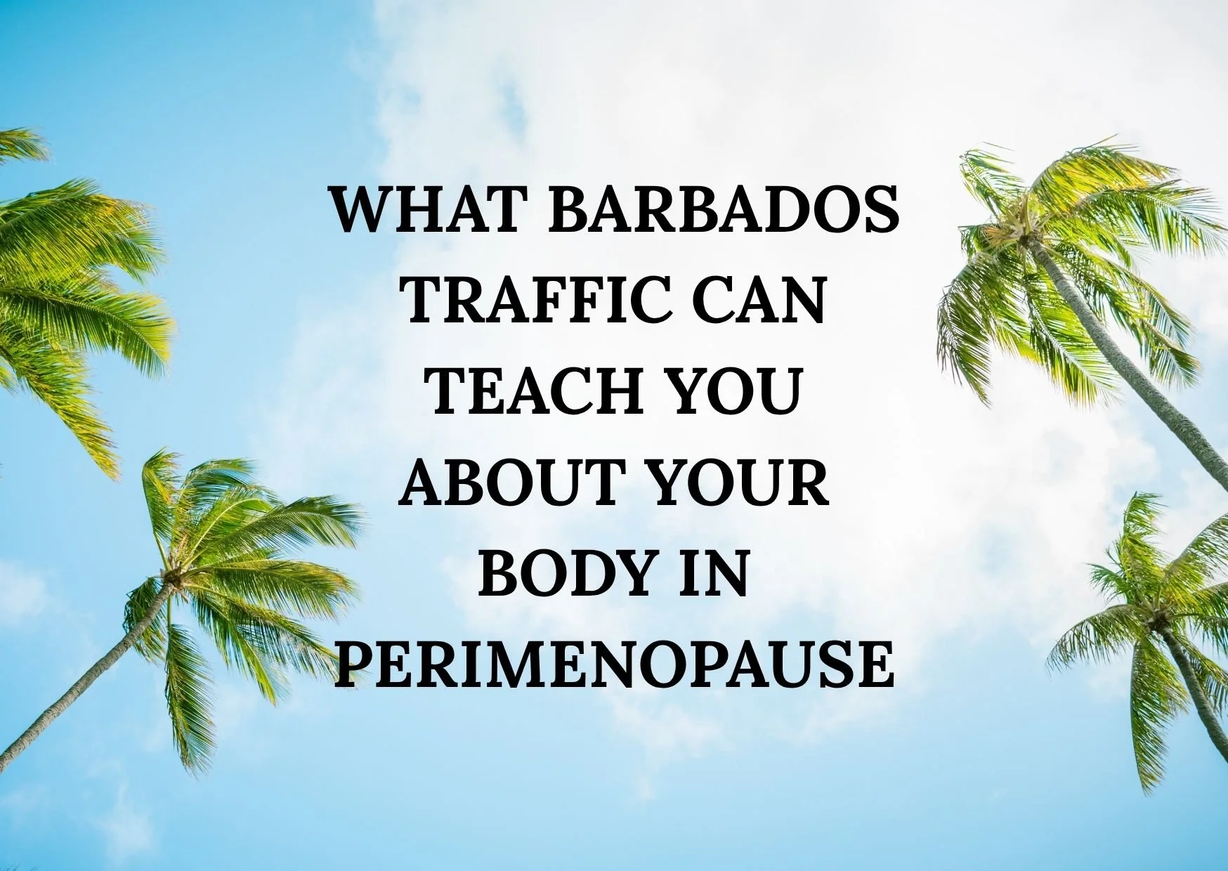 What Barbados Traffic Can Teach You About Your Body in Perimenopause