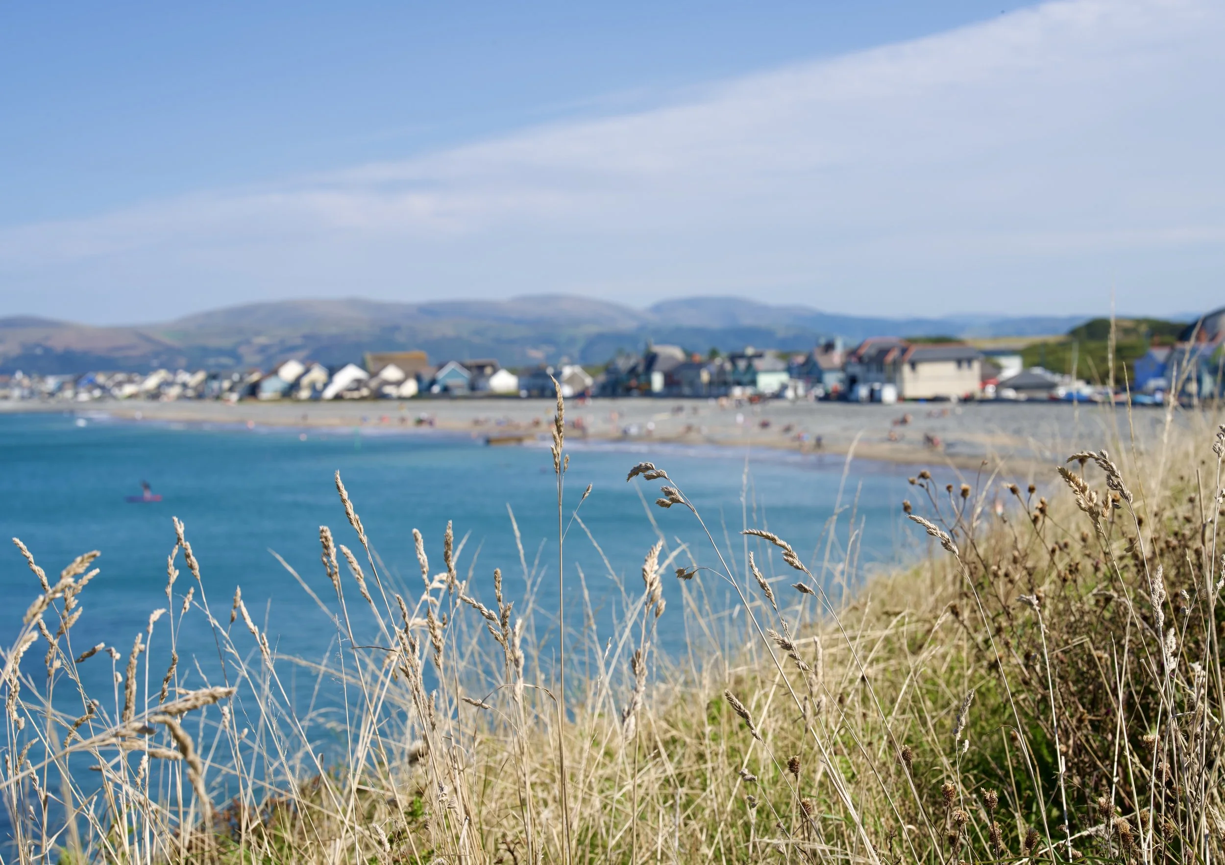 Borth Town