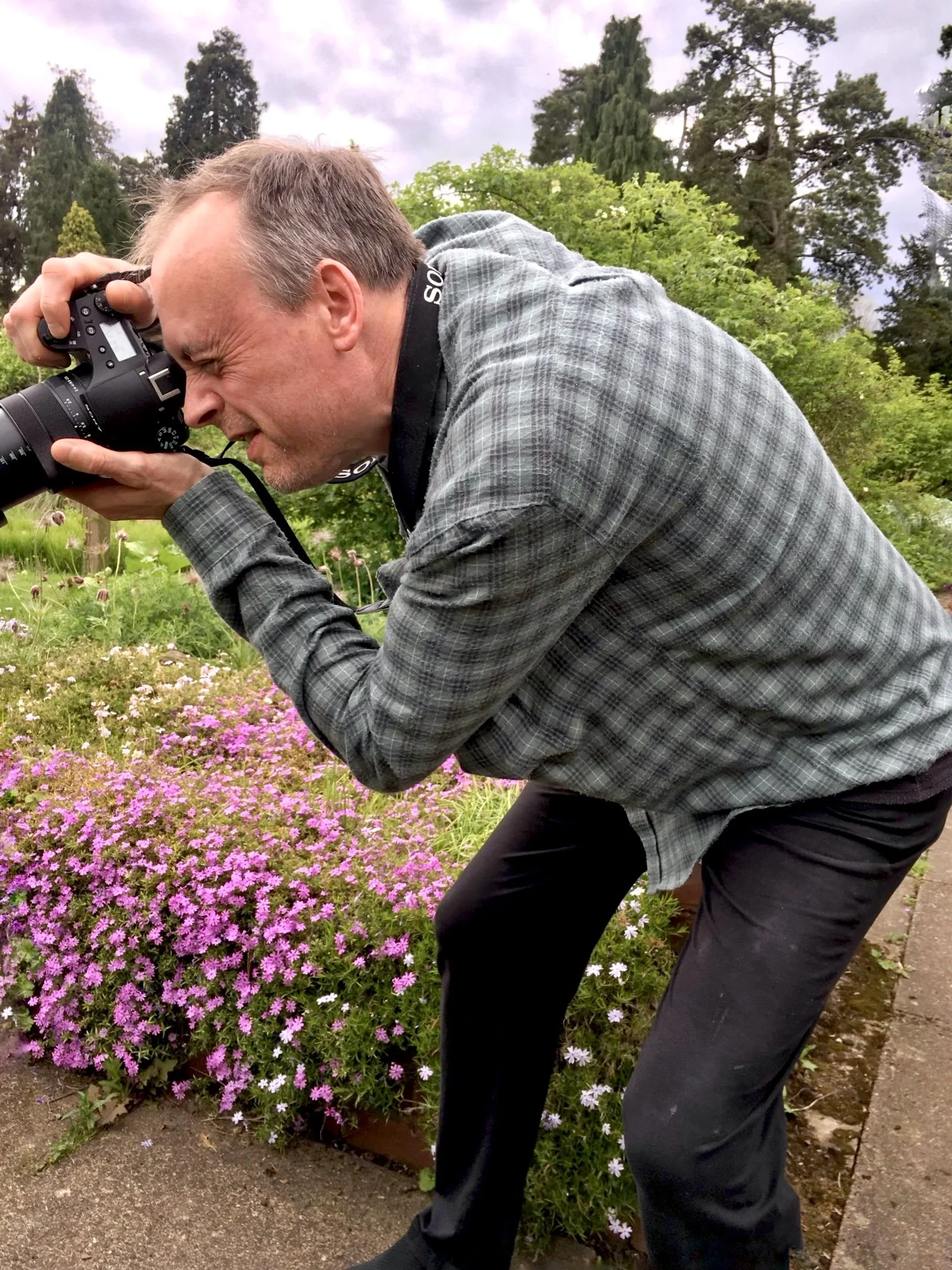 Man taking a photograph of flowers in a garden with a camera, wearing a plaid shirt and black pants.