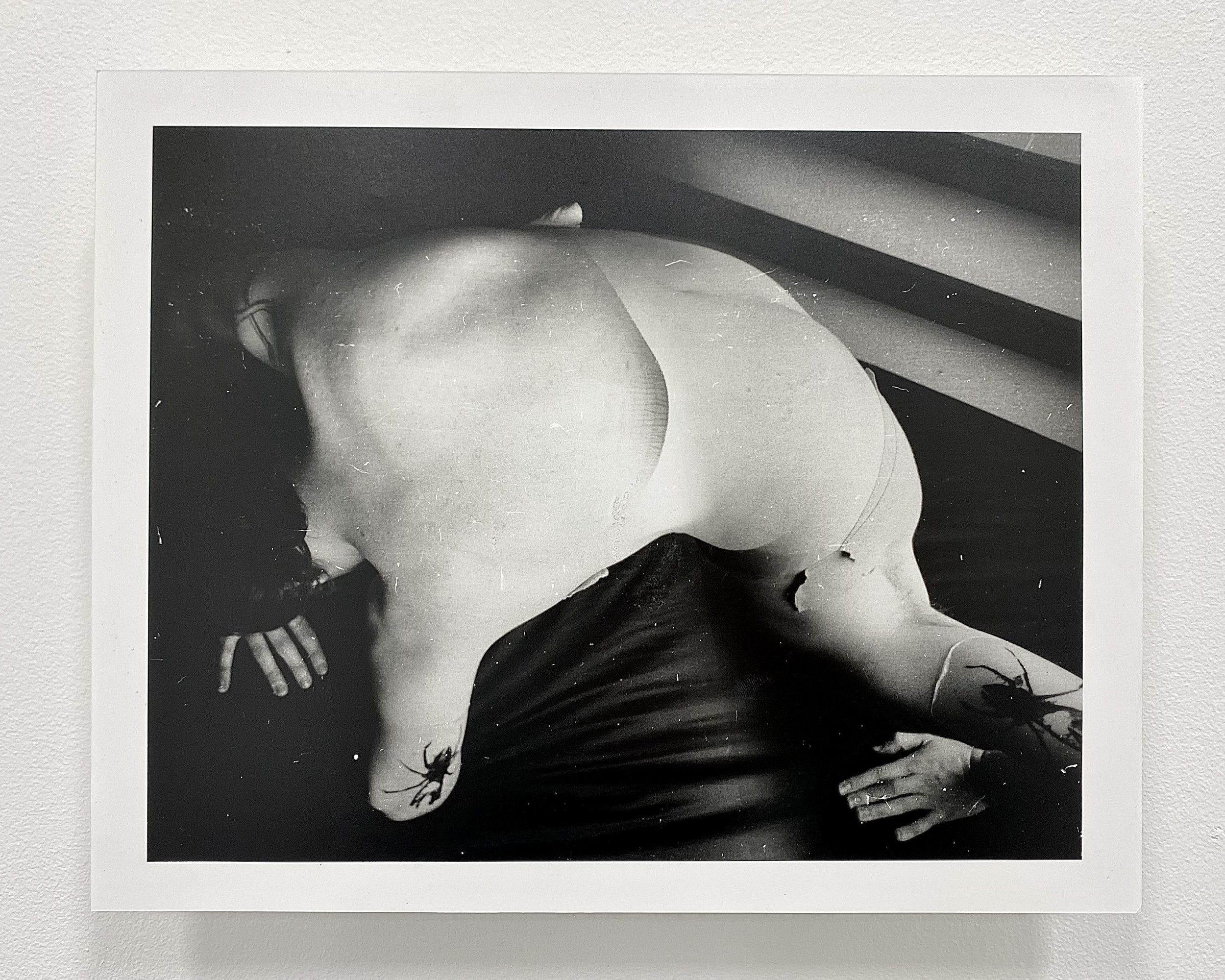 Untitled (Triptych) #3 (2026)
Gelatine Silver Print (8x10in.)