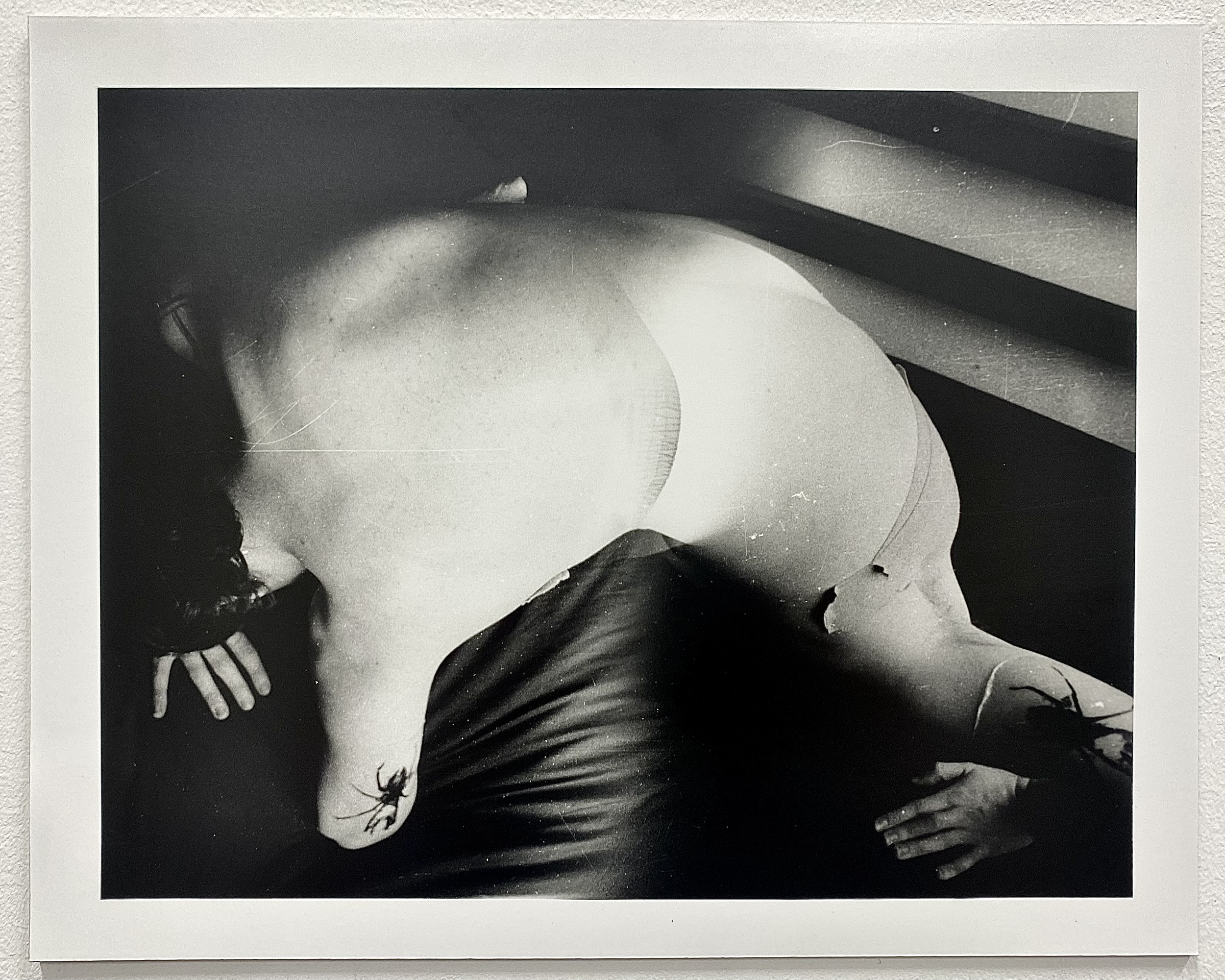 Untitled (2026)
Gelatin Silver Print (8x10in)