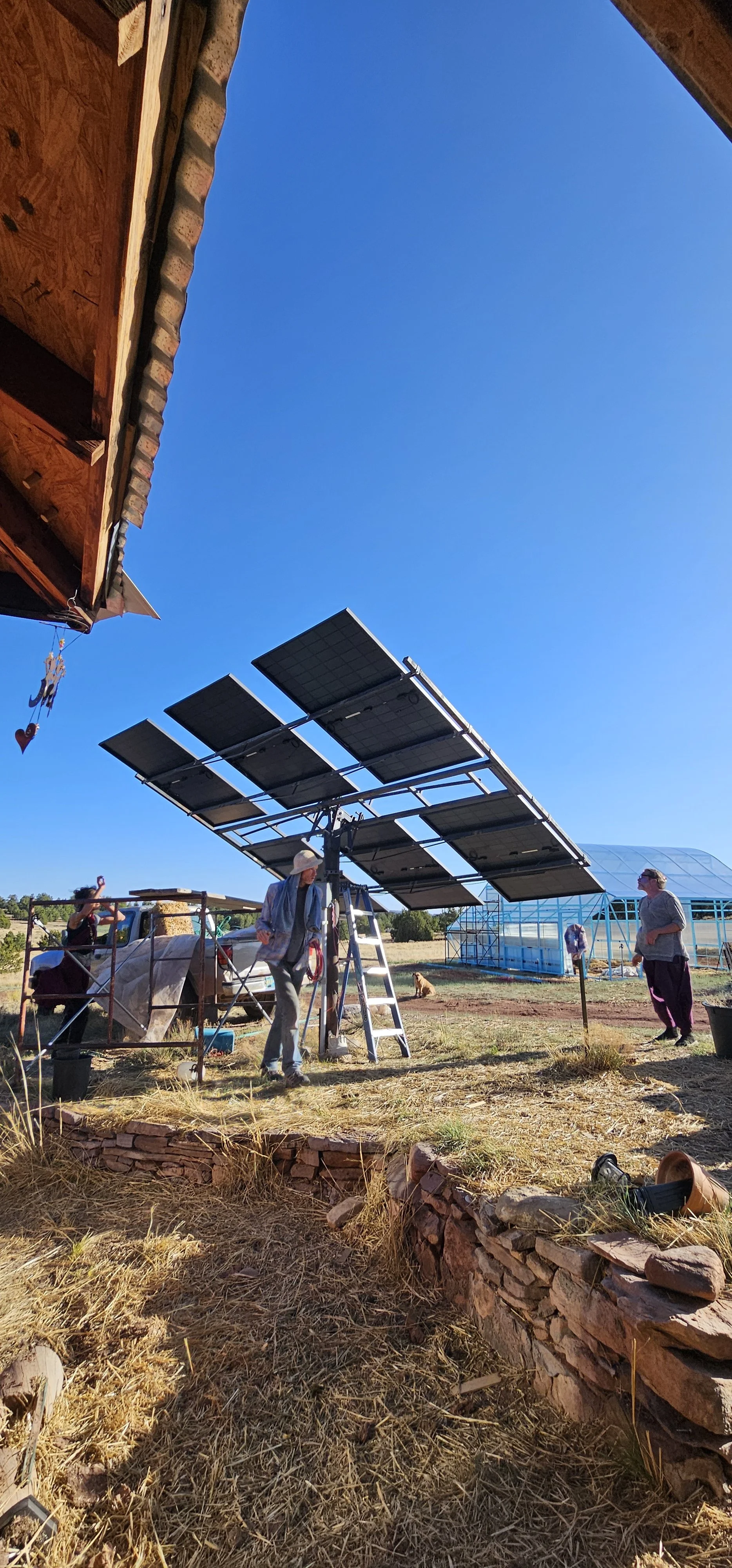 20250426_180330.jpg