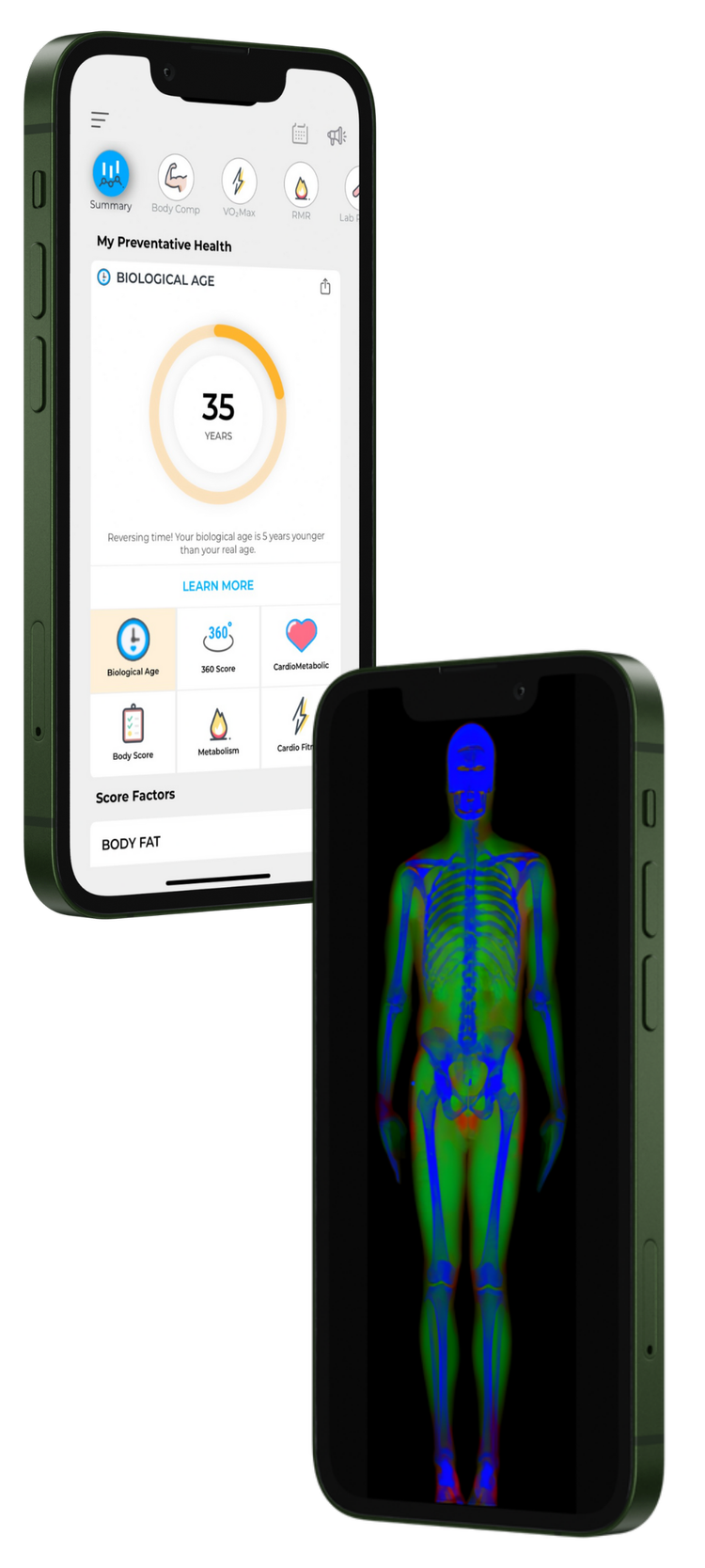 The DexaFit app showing biological age and a full-body DEXA composition heatmap